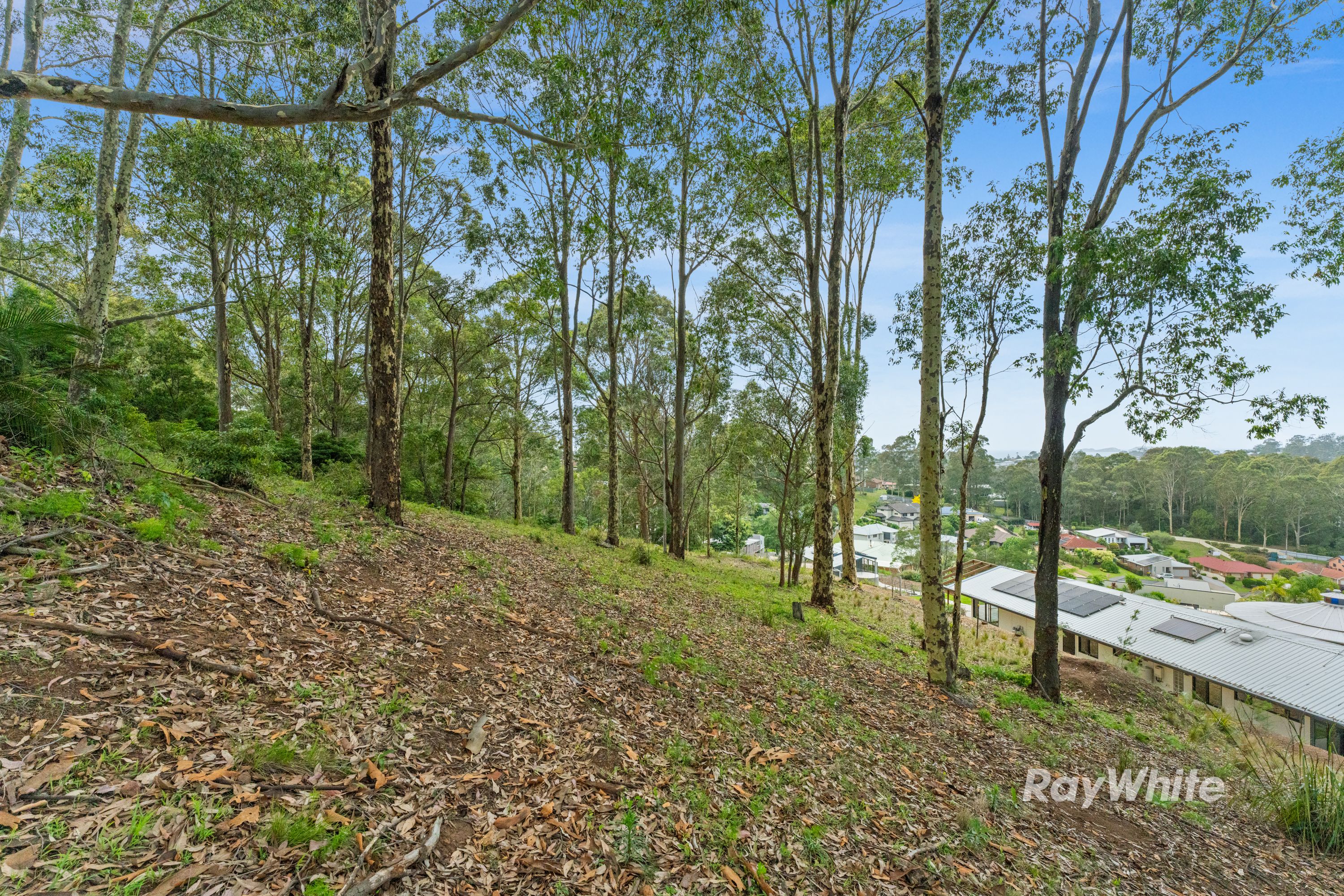 33 Berrima Street — photo 12 of 14