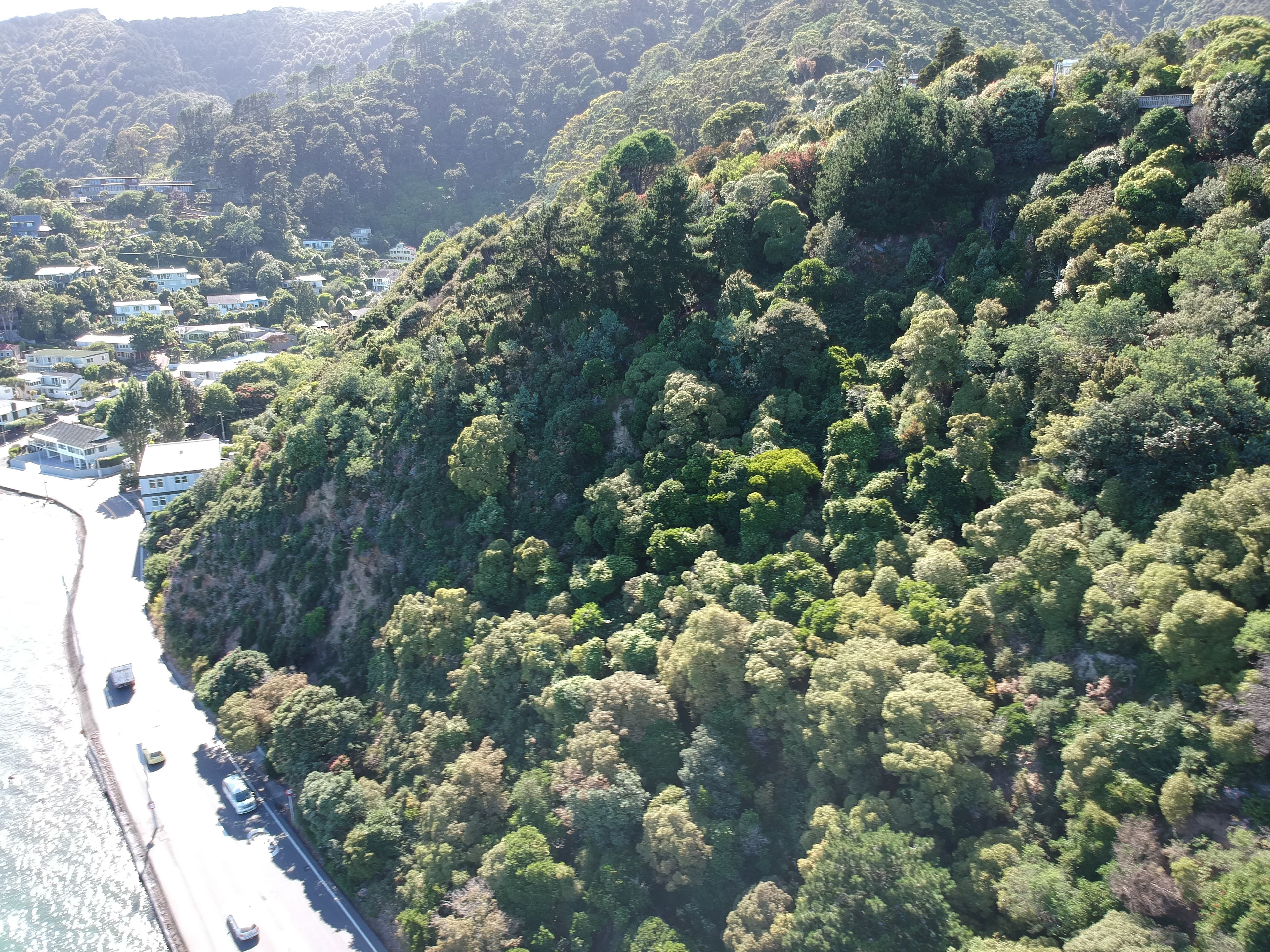 249 Marine Drive, Lowry Bay, Lower Hutt City