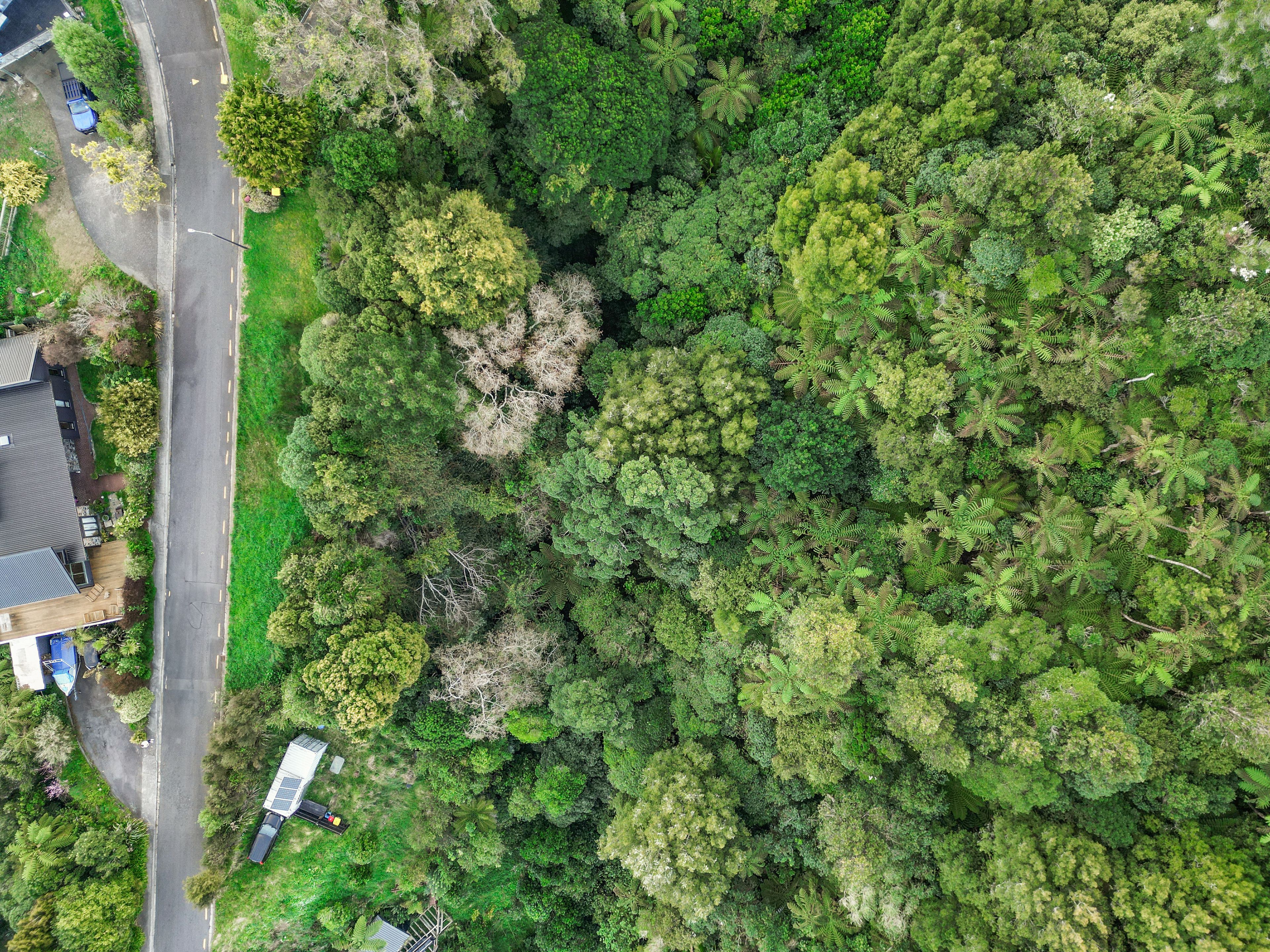 14 Corrondella Grove, Belmont, Lower Hutt City