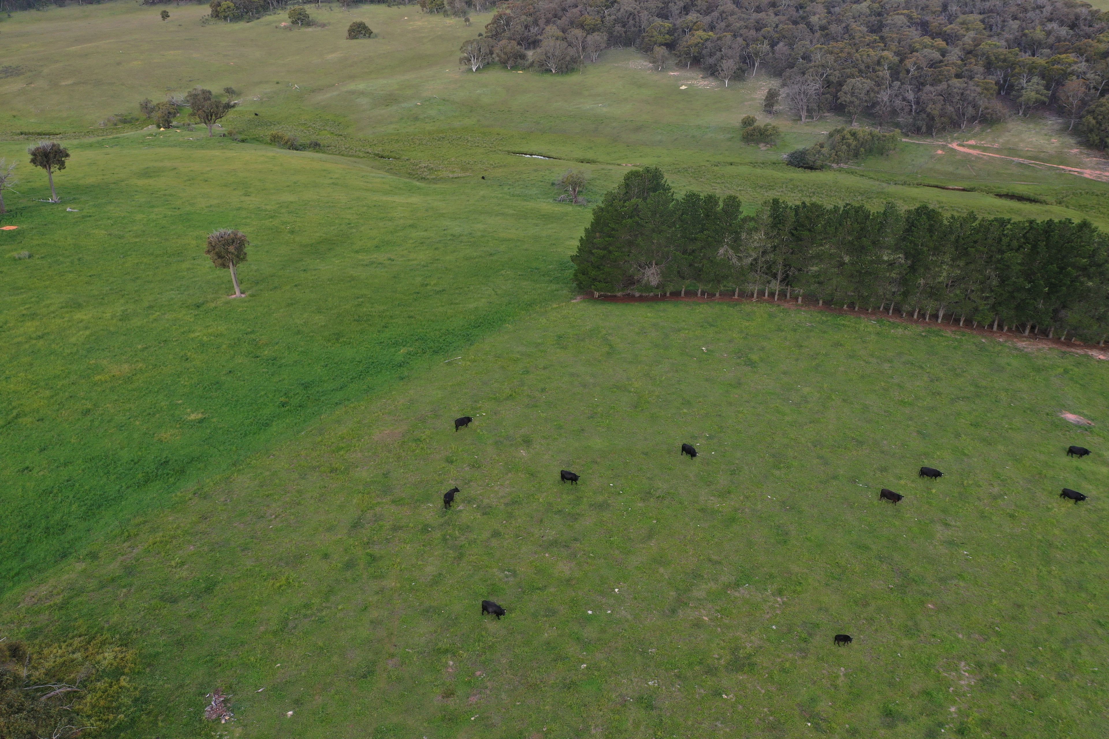 1566 Golspie Road, Taralga, NSW 2580