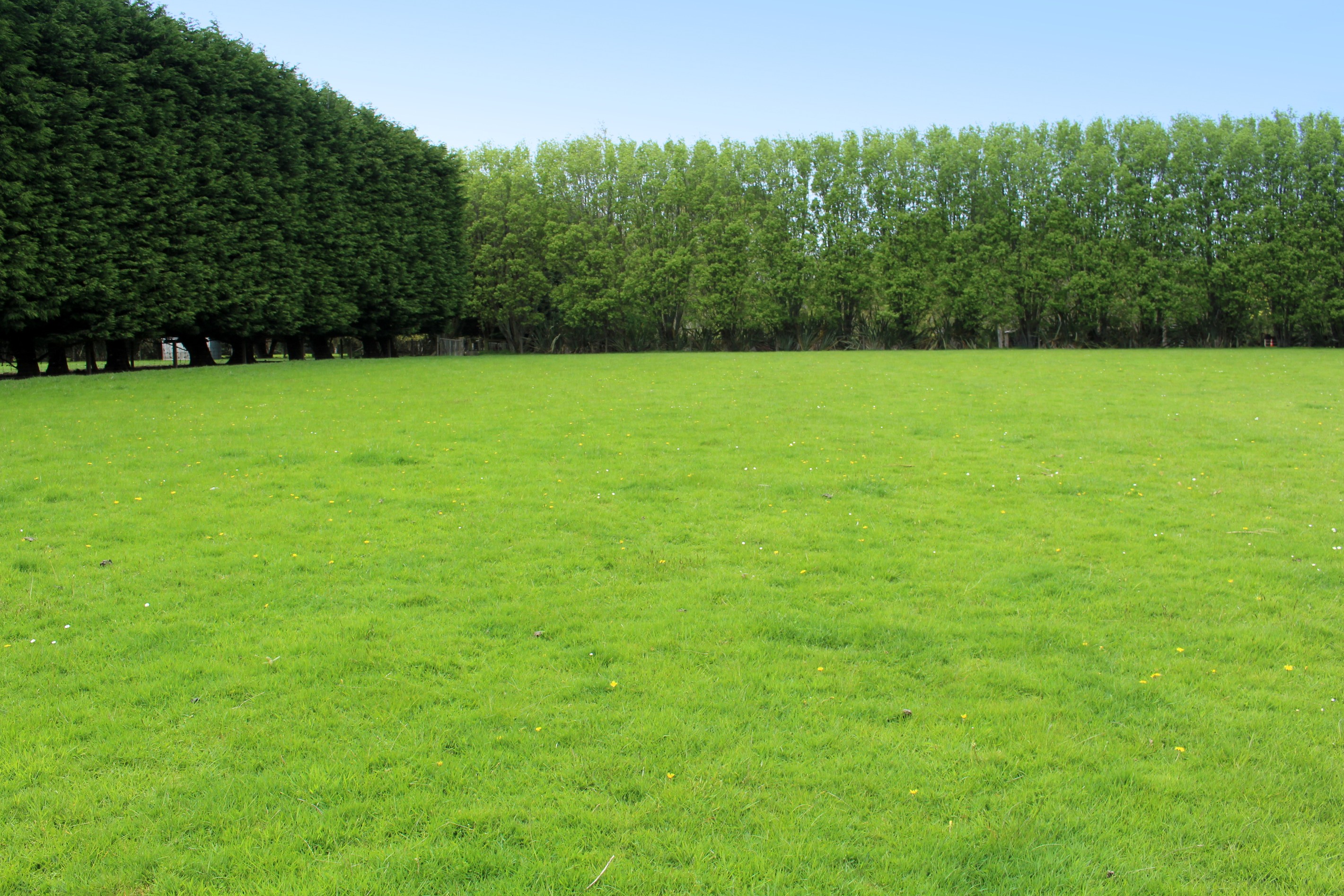 58 Millton Park Road, Mill Road, Invercargill