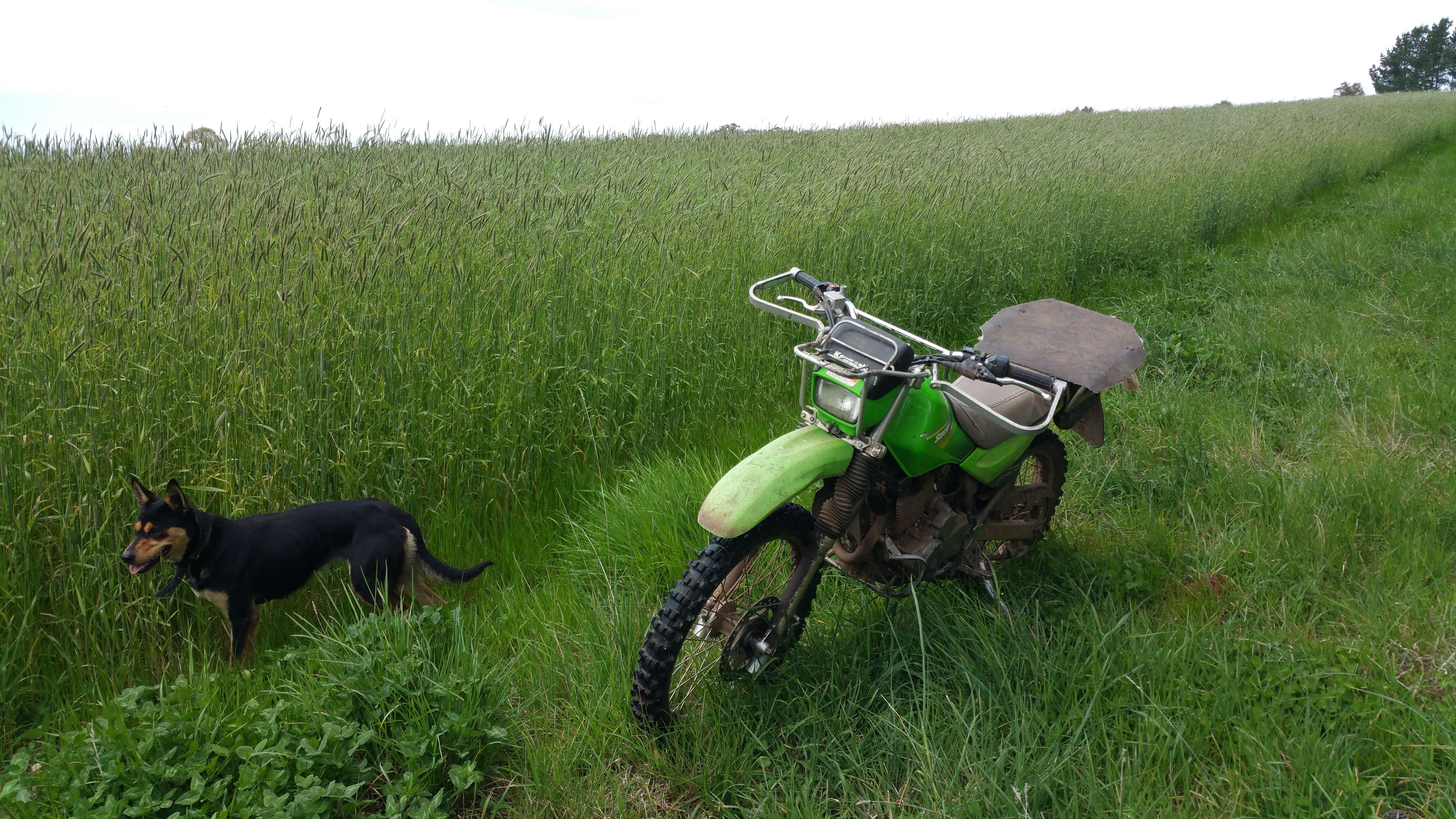 8 Winters Road, Glen Innes, NSW 2370