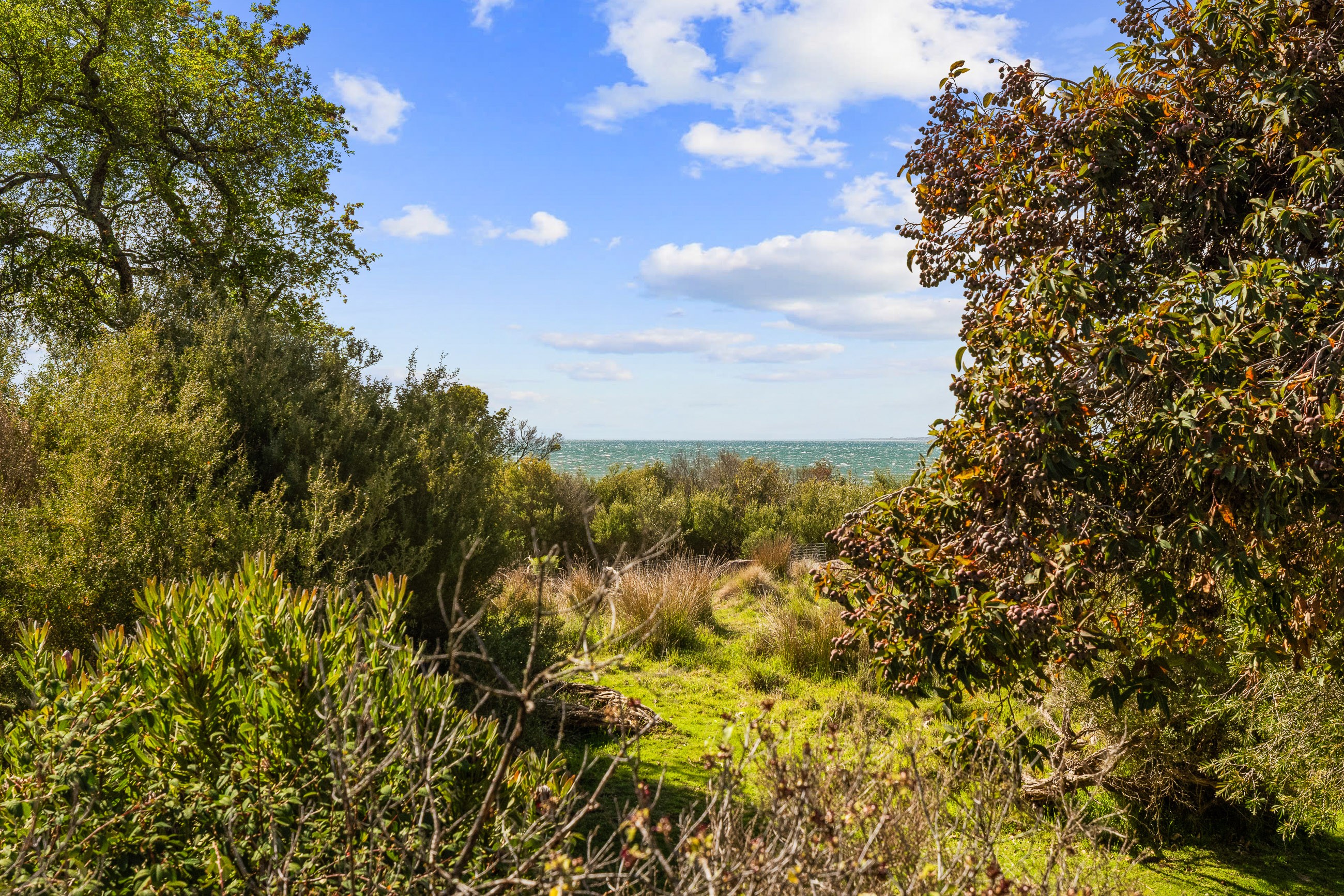 2/2 Mchaffie Drive, Cowes, VIC 3922