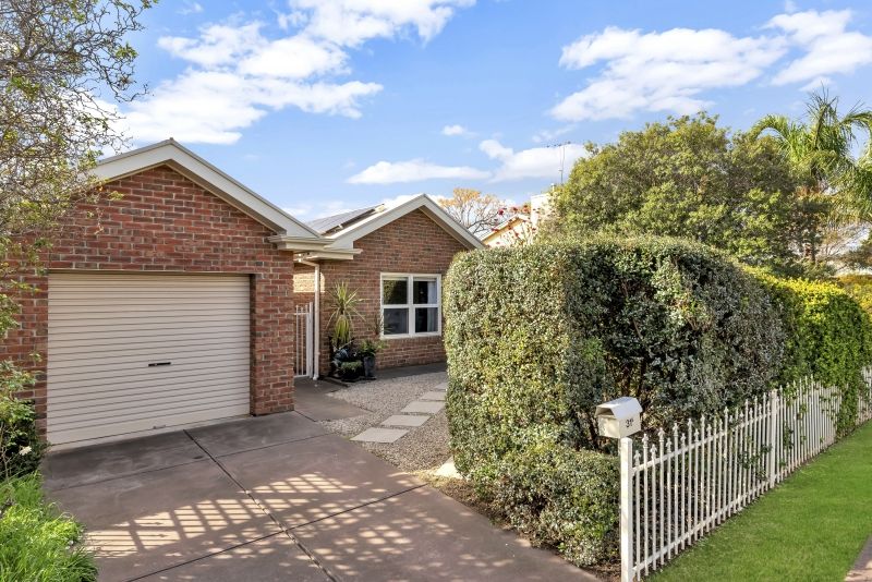 31B John Avenue, Tranmere, SA 5073