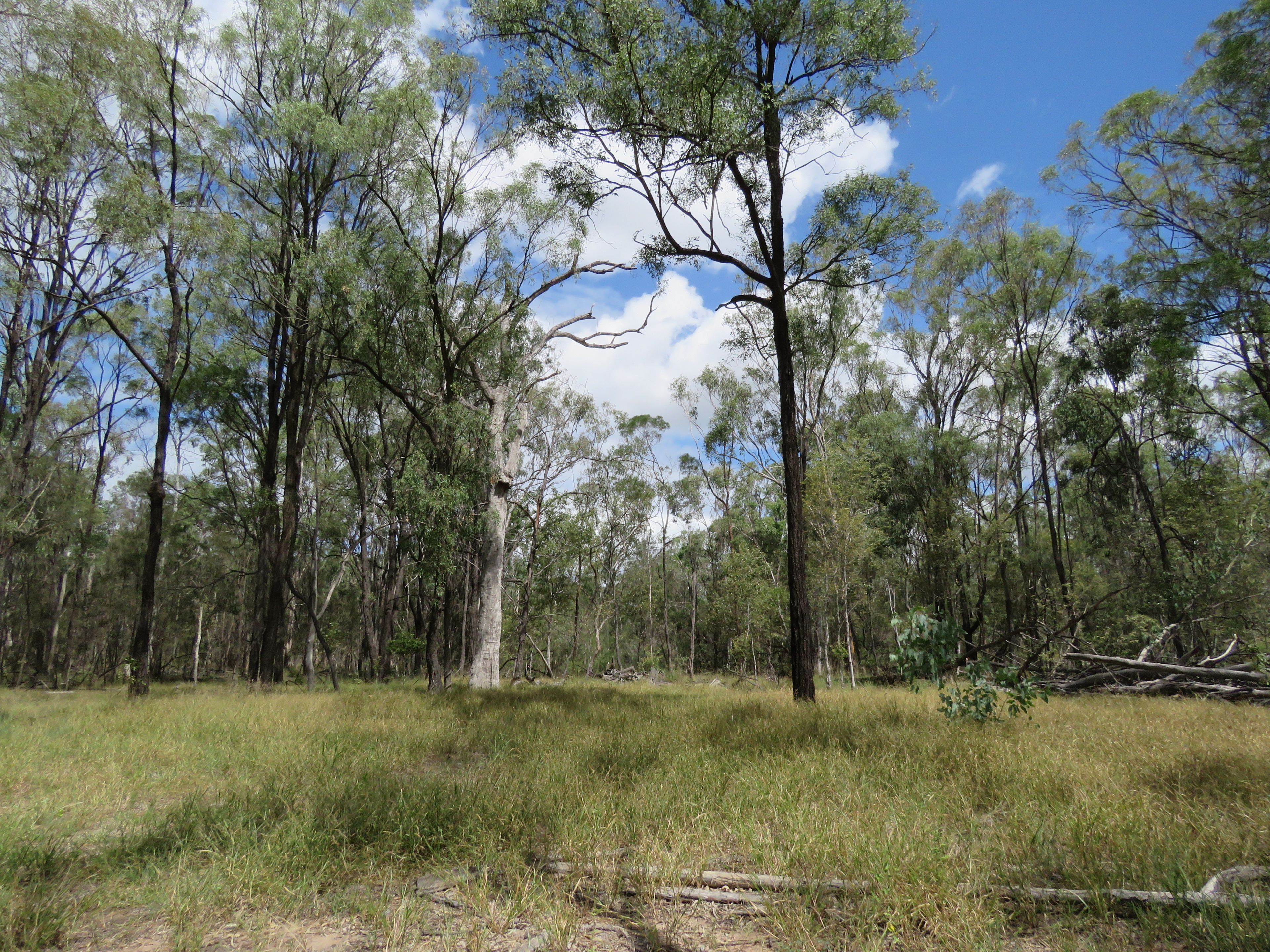 450 Lawsons Broad Road, Coverty, Wondai, QLD 4606 Rural Property for