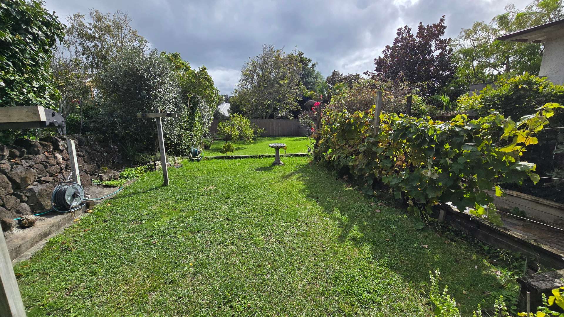 11 Violet Street photo 13