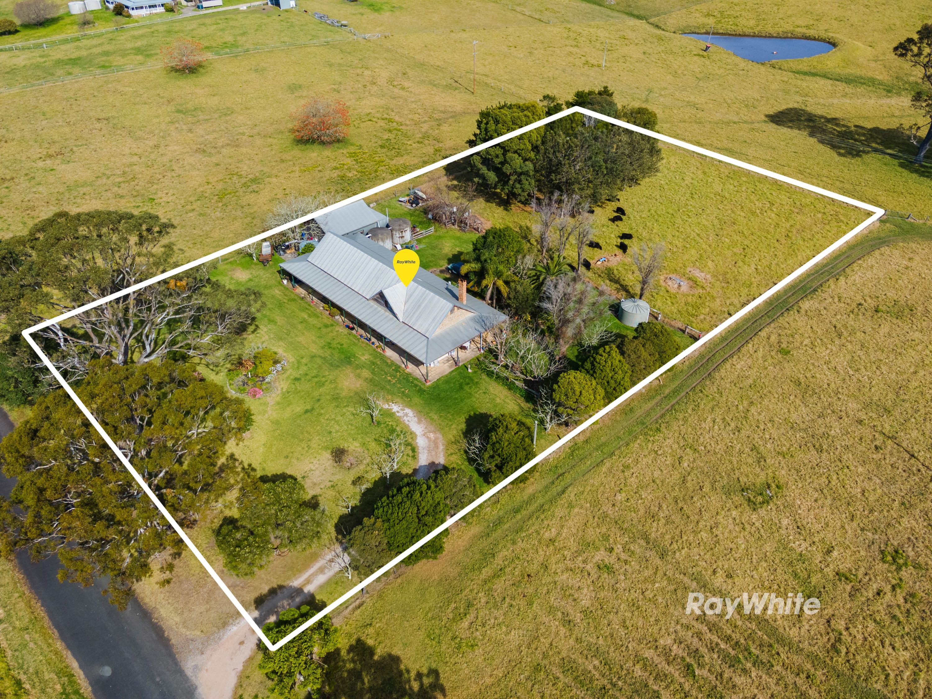 20 Bergalia Link Road, Bergalia, NSW 2537
