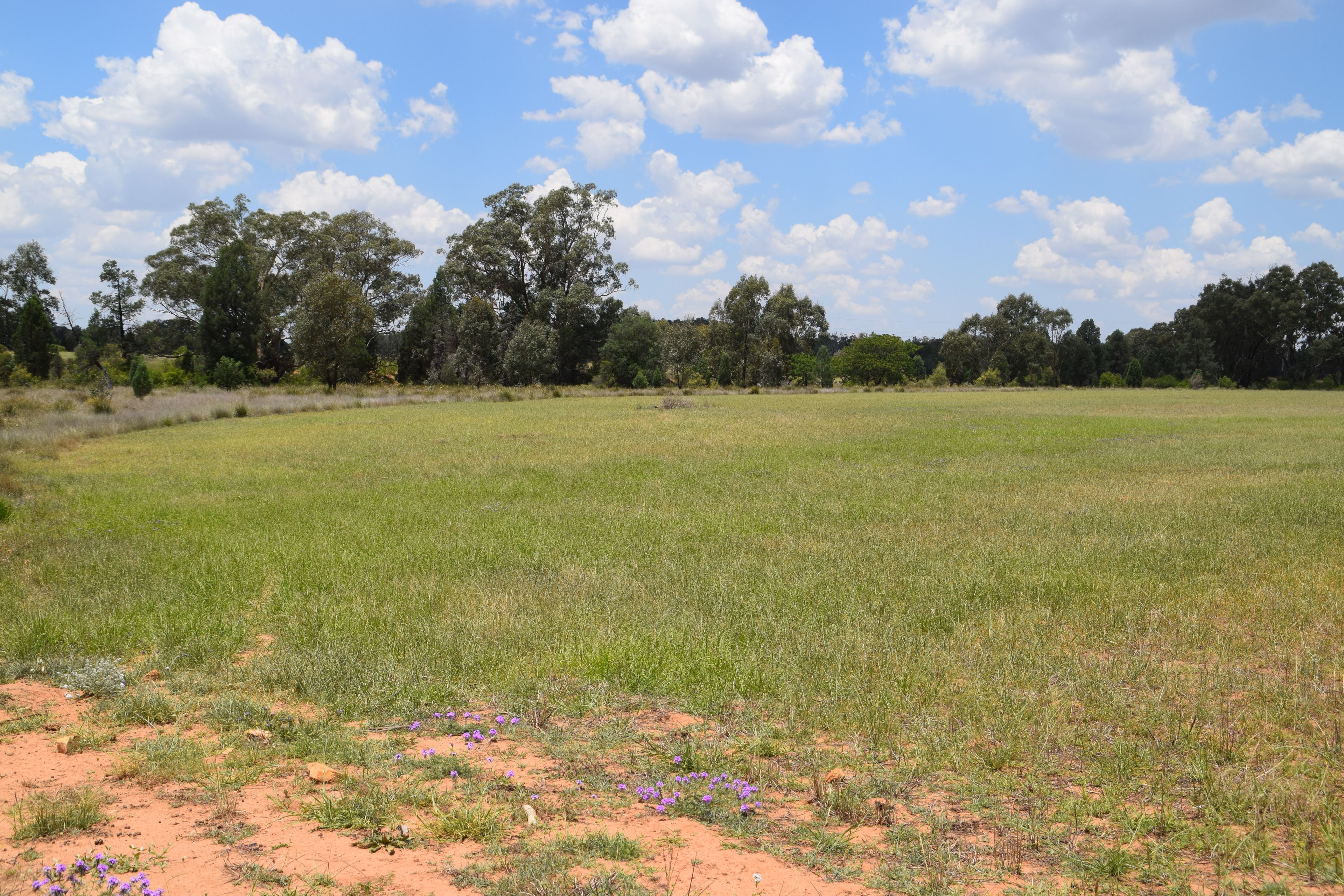 'Illapa' 238L Narromine Road — photo 30 of 30