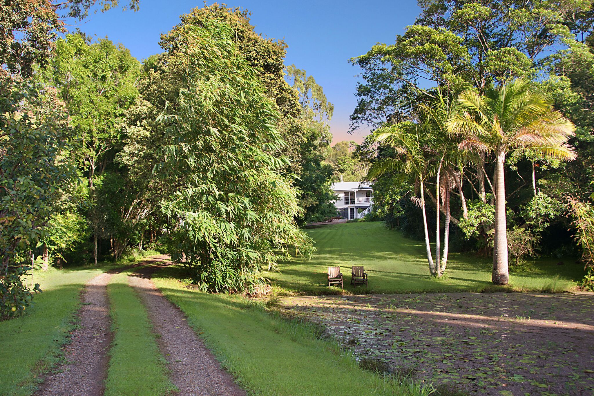37 Teutoberg Avenue, Witta QLD 4552