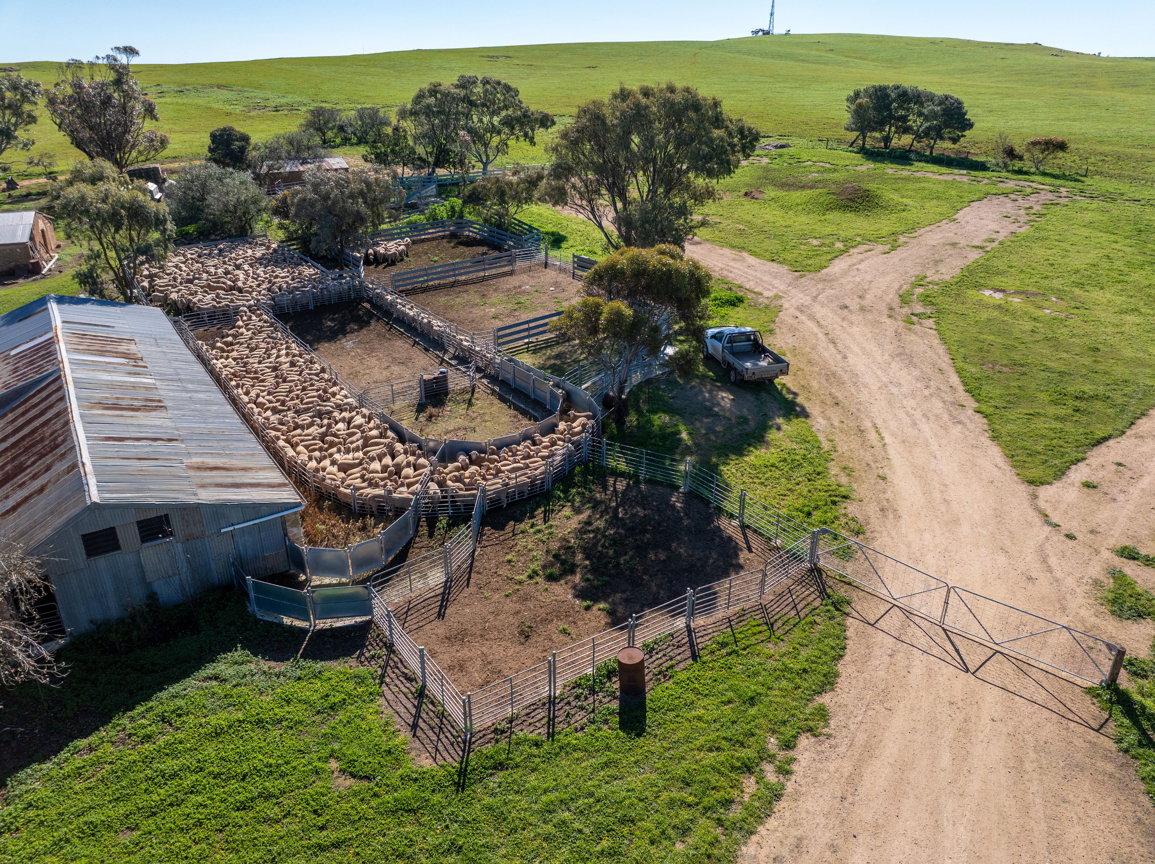 'Eudunda Hill' Thiele Highway — photo 10 of 30