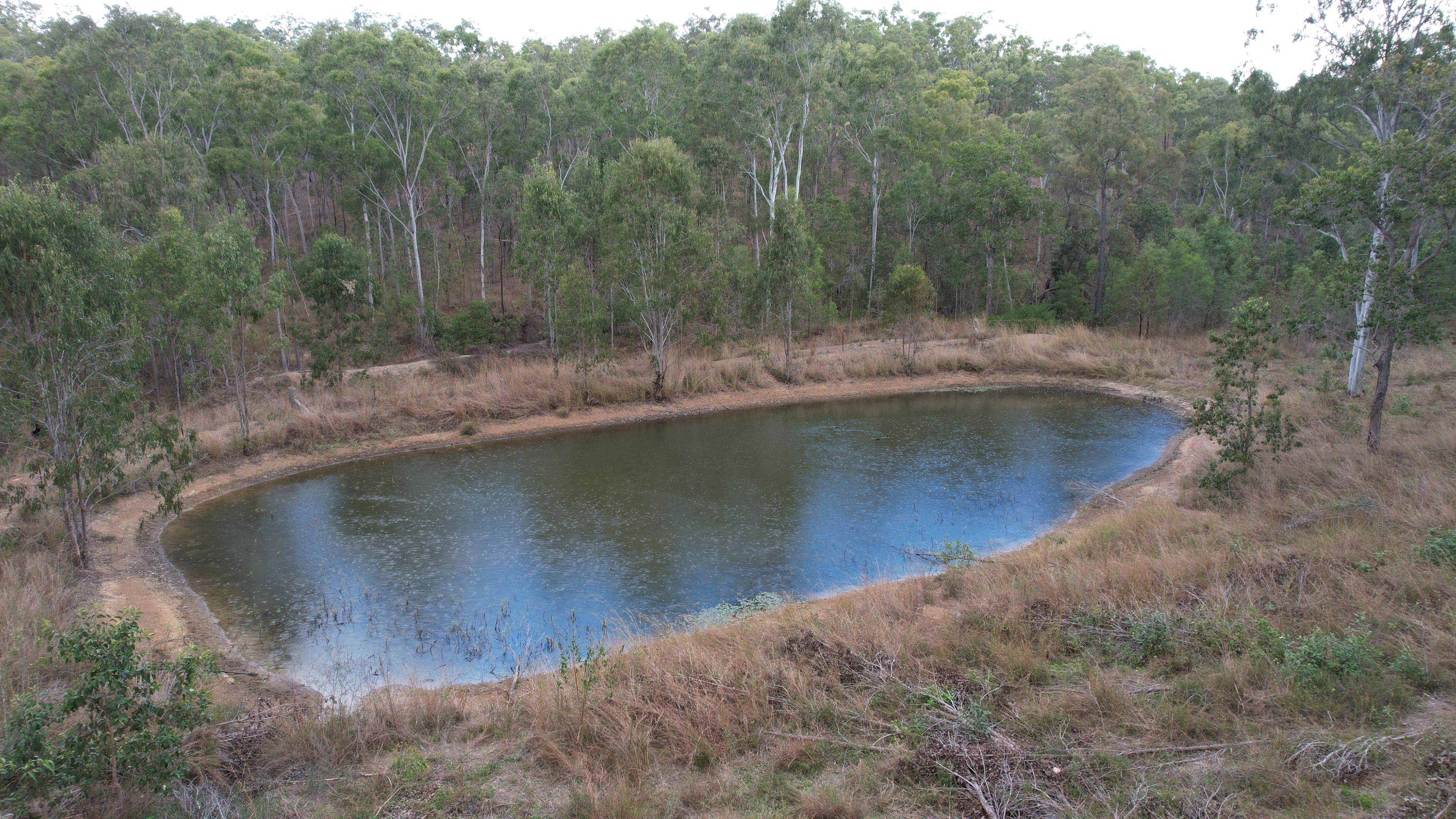 "Machine Creek" 49599 Bruce Highway, Benaraby, QLD 4680 Rural