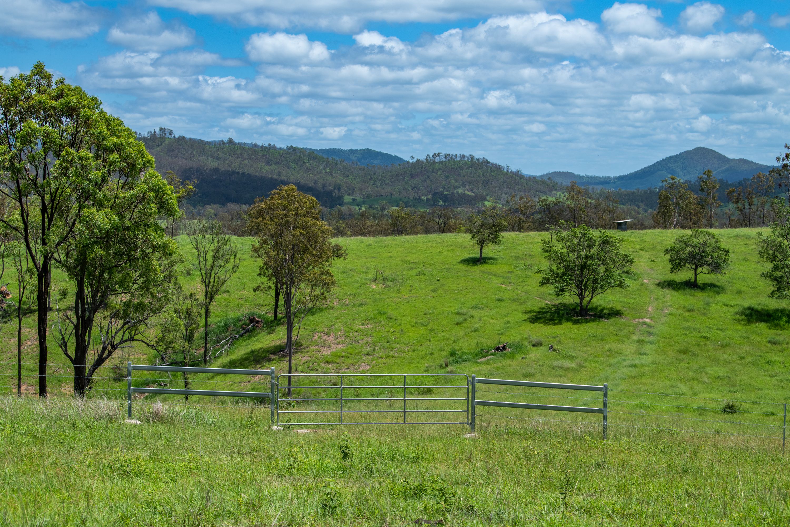 Woolooga Property For Sale at Amee Otani blog