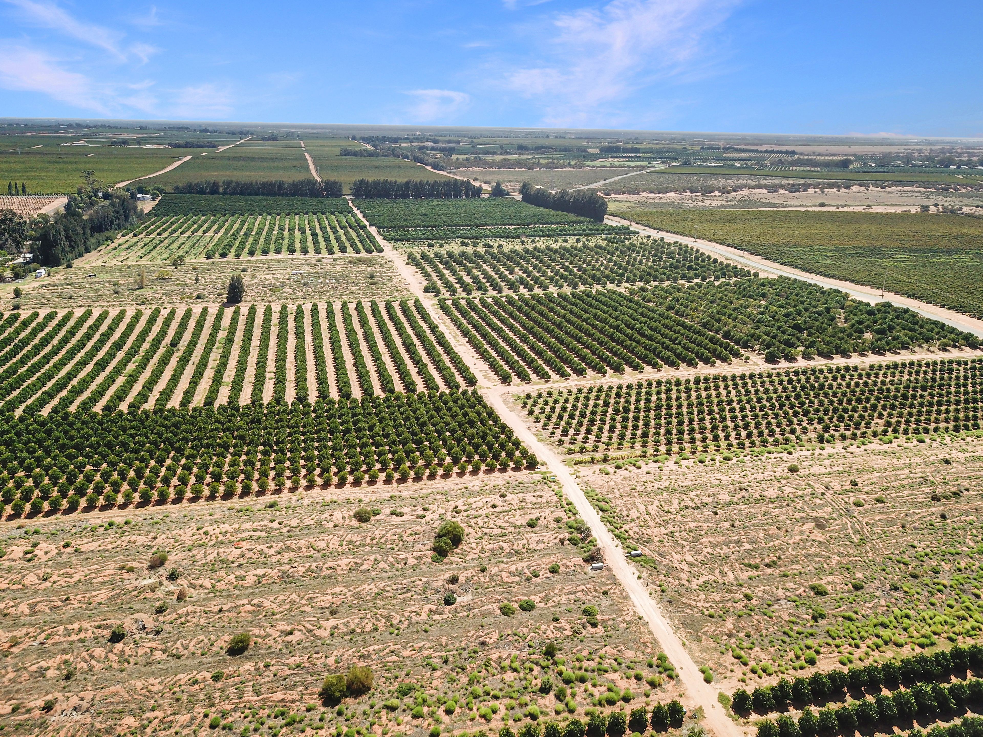 Lot 80 Foster Road — photo 7 of 17
