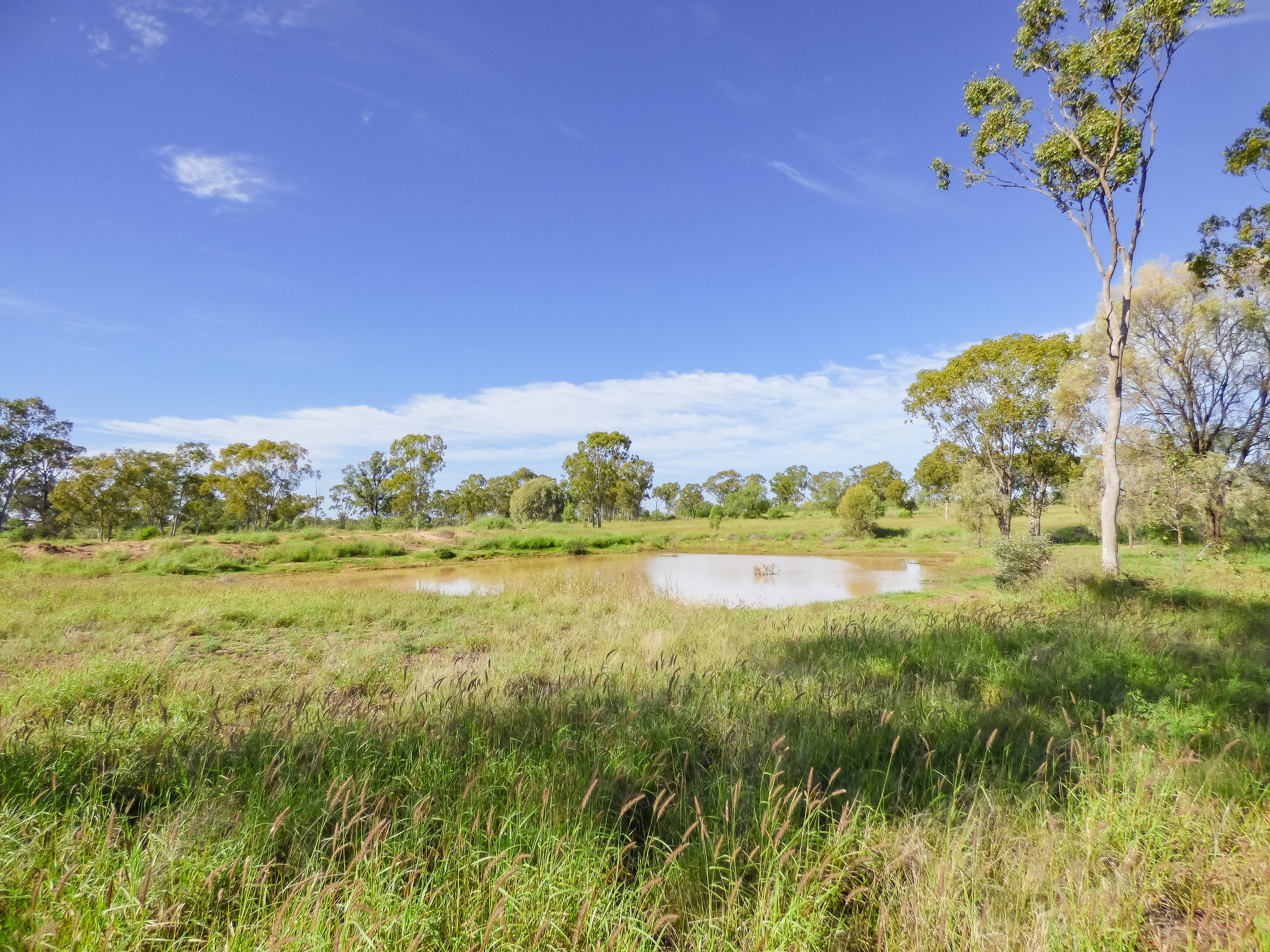 123 Warooby Lane, Roma, QLD 4455