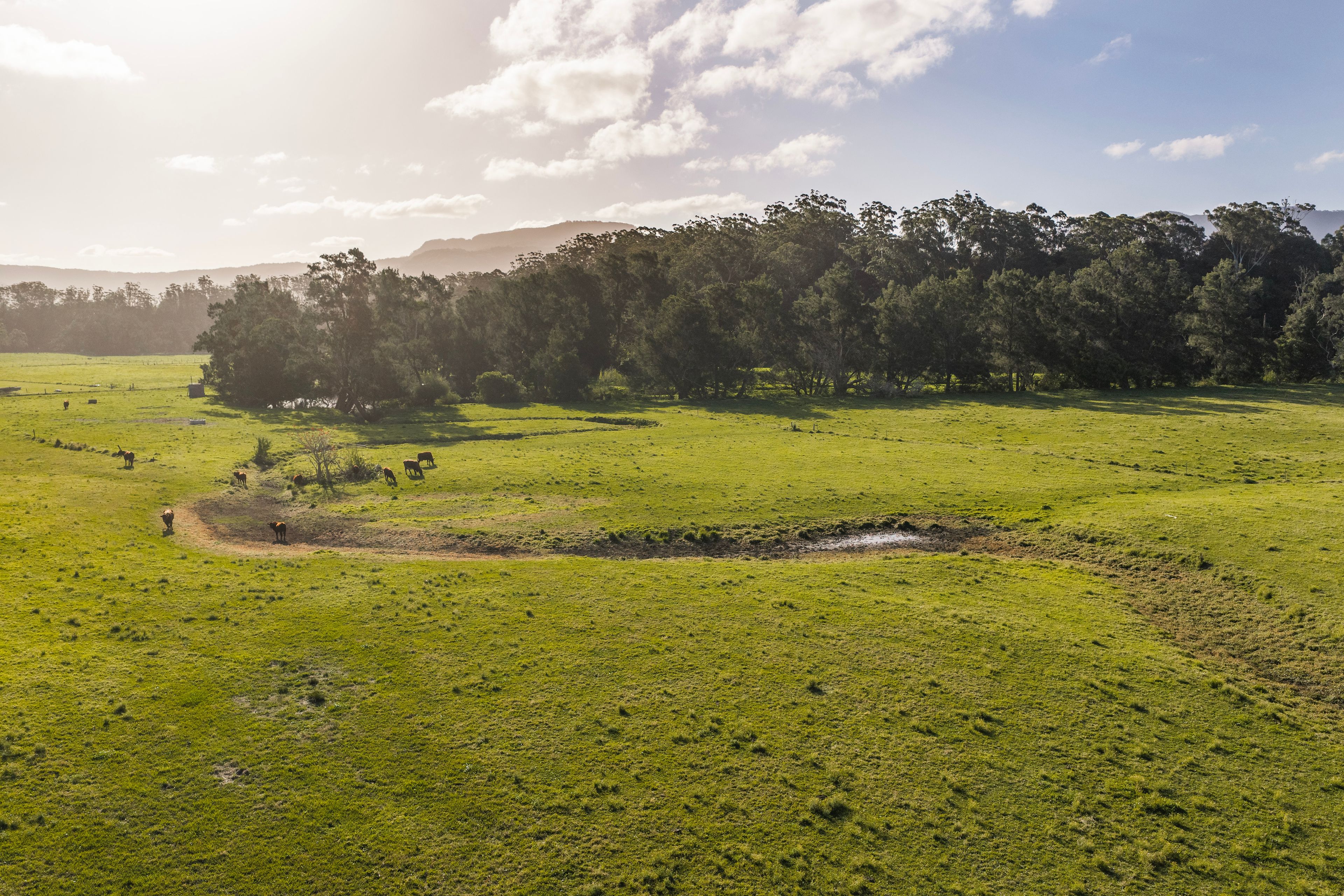 'Athelglow' A200B Princes Highway — photo 19 of 23