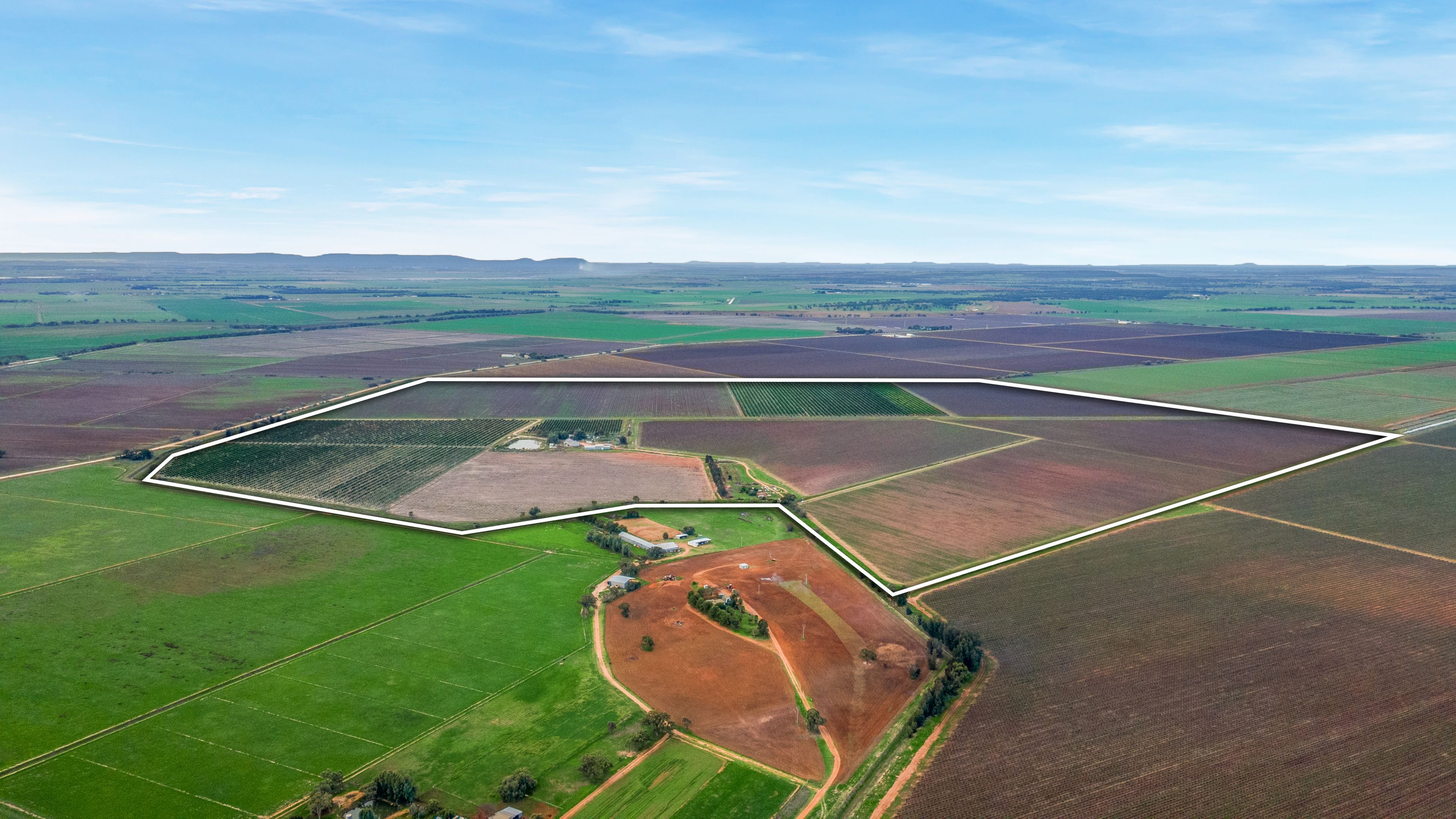82 Murdoch Road — photo from Ray White Rural Griffith