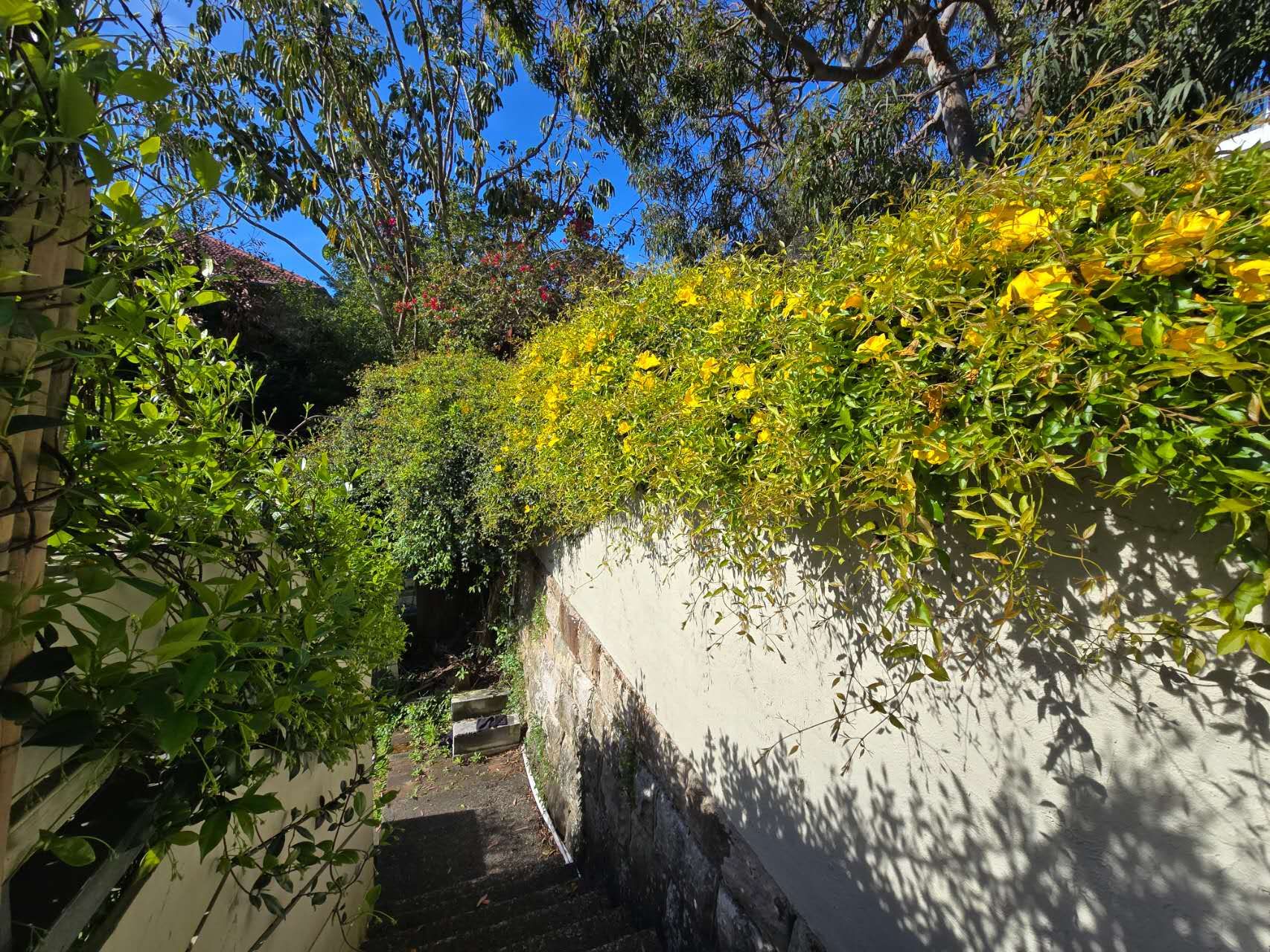 4/682 Old South Head Road — photo 15 of 17