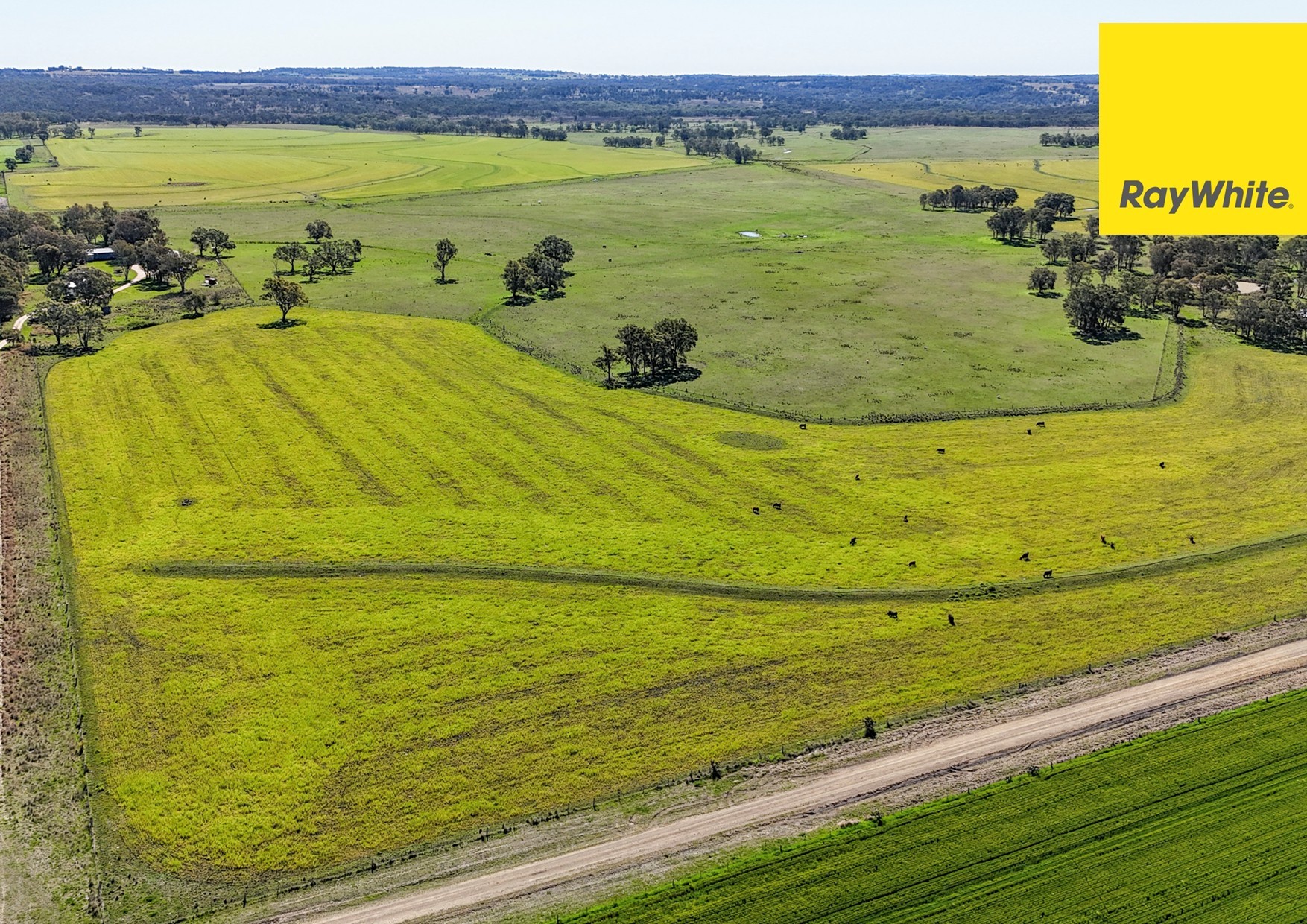 231 Middletons Lane, Inverell, NSW 2360