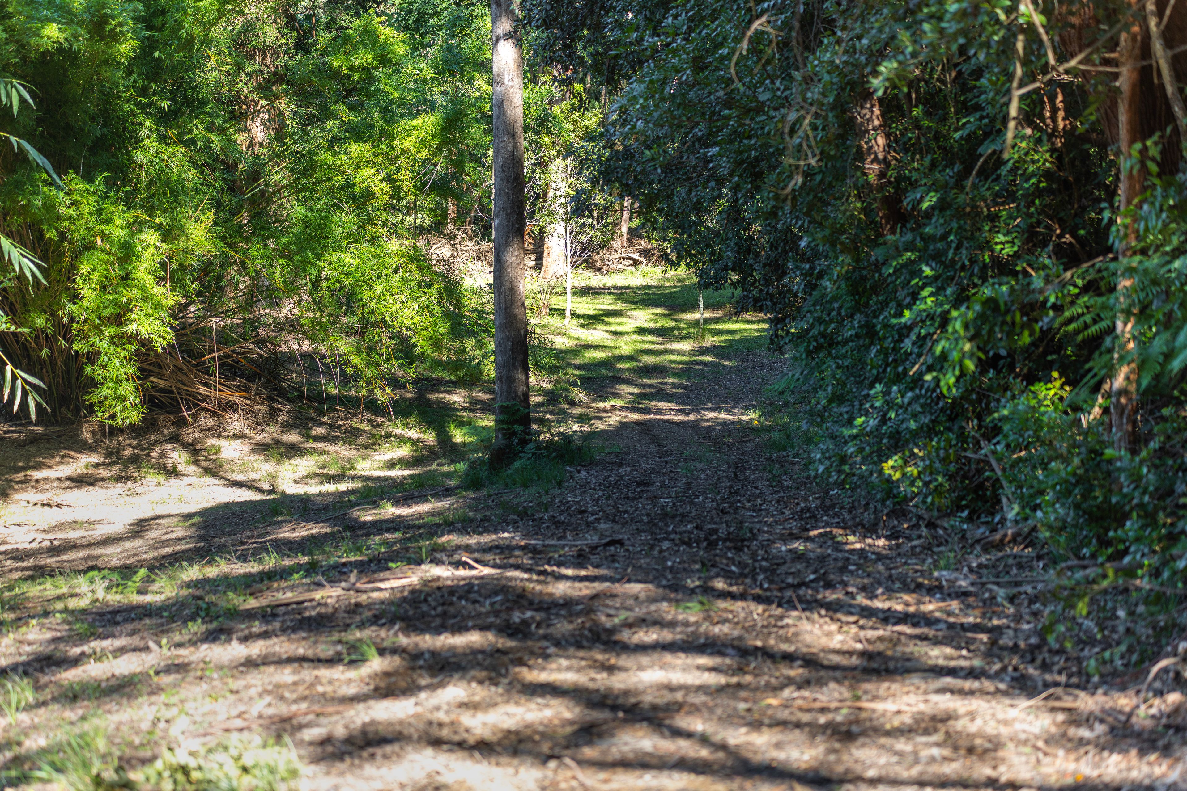 'The Ridge Farm' Lots 22 & 102 Free Selectors Road — photo 21 of 23