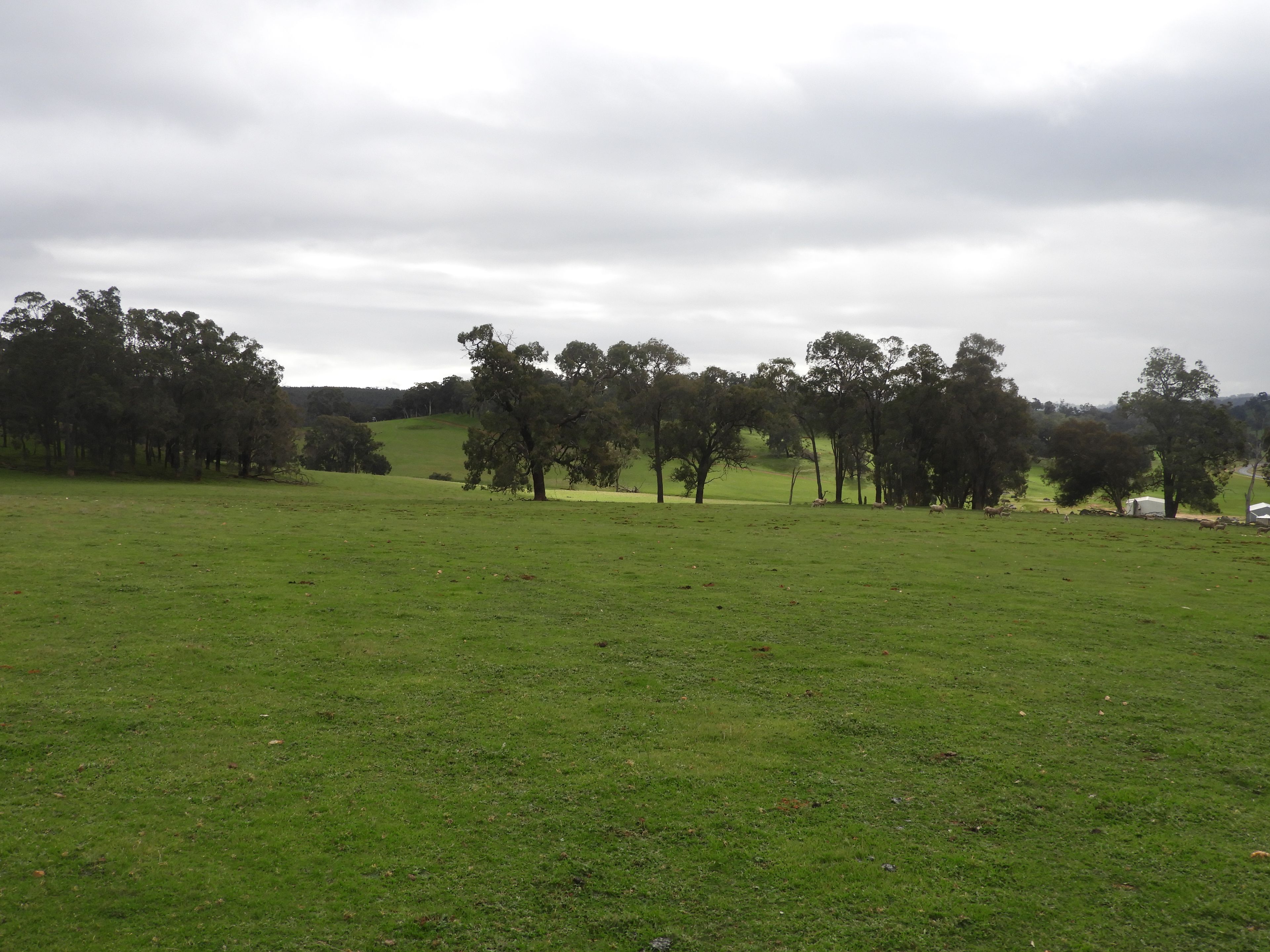 Kyellen Farm, Quindanning-Darkan Road — photo 12 of 30