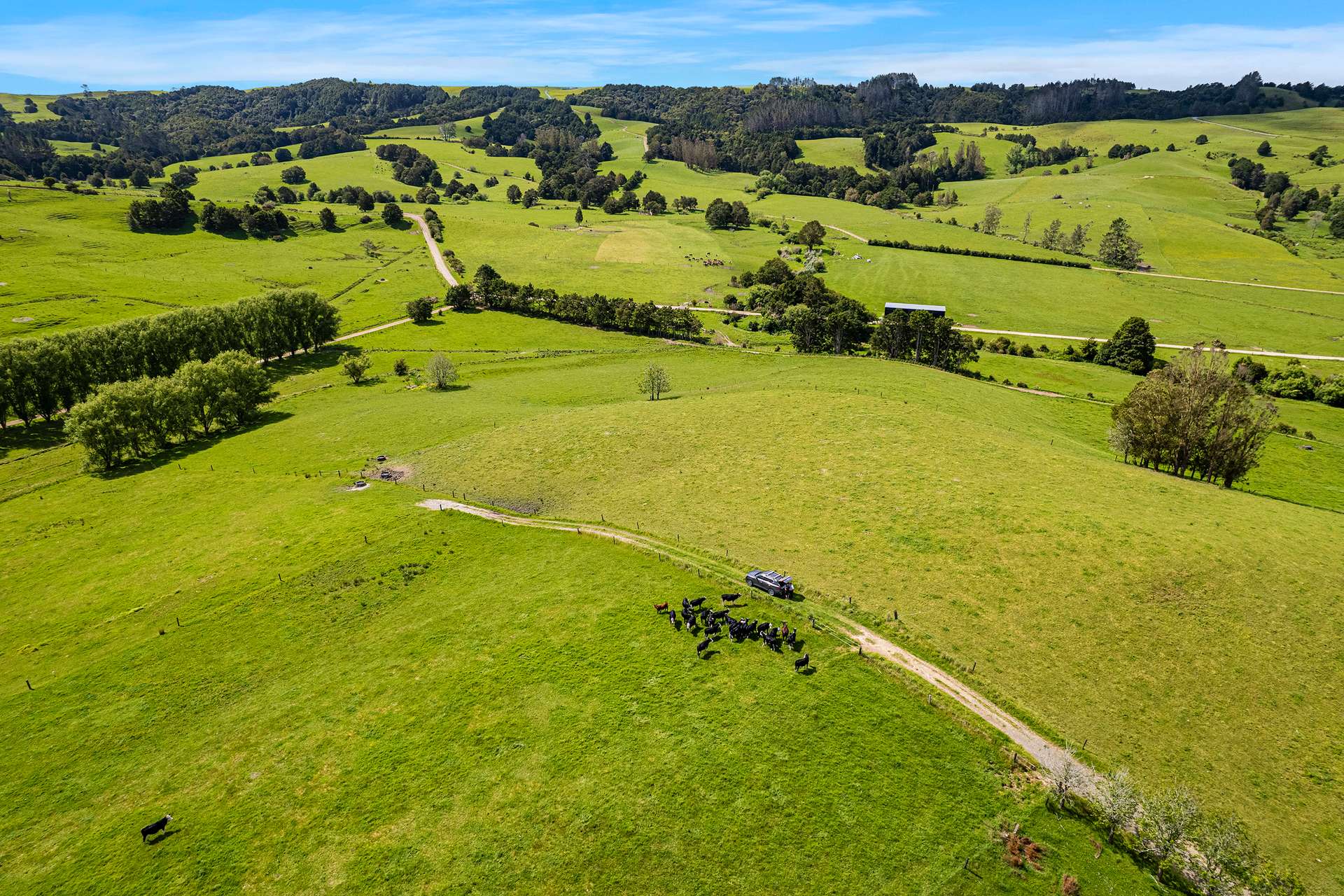 Lot 3 Hukerenui Road photo 7