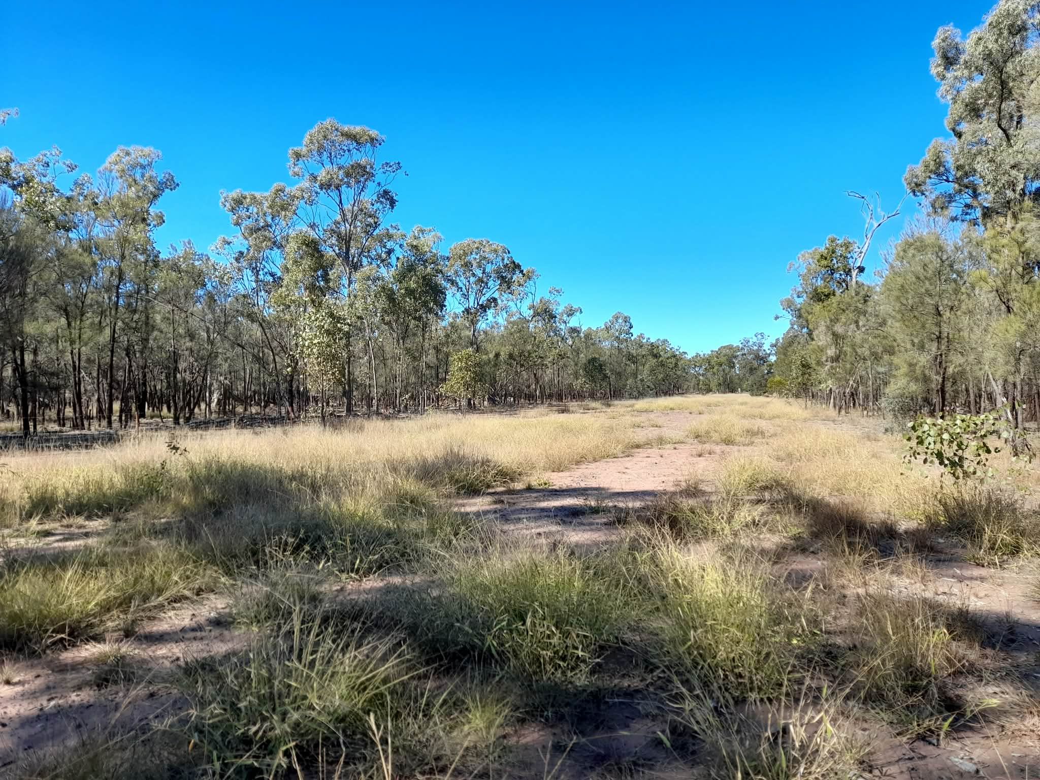Lot 11 263 Montrose Road, Montrose, QLD 4413
