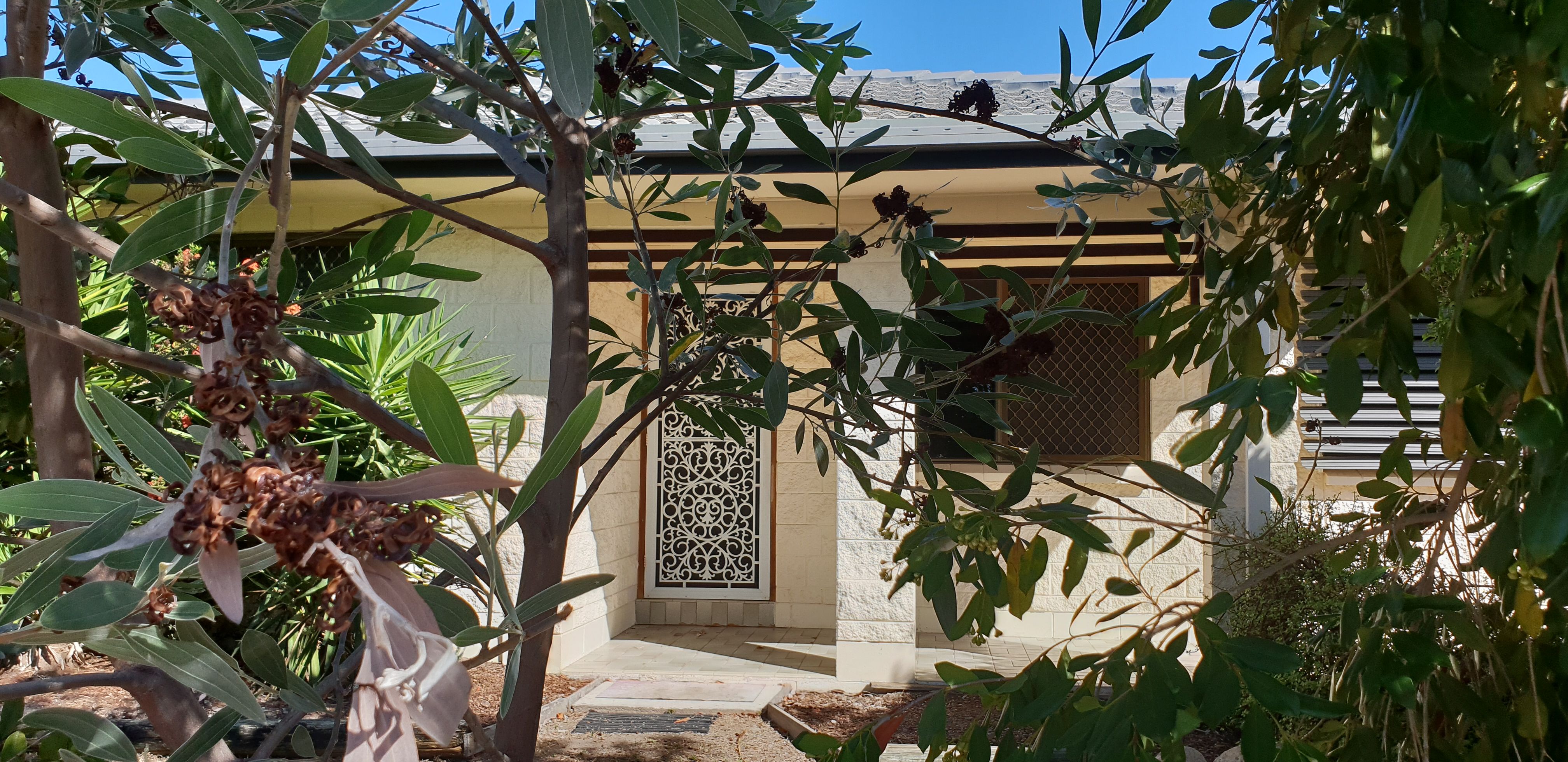 29 Cypress Drive, Annandale QLD 4814