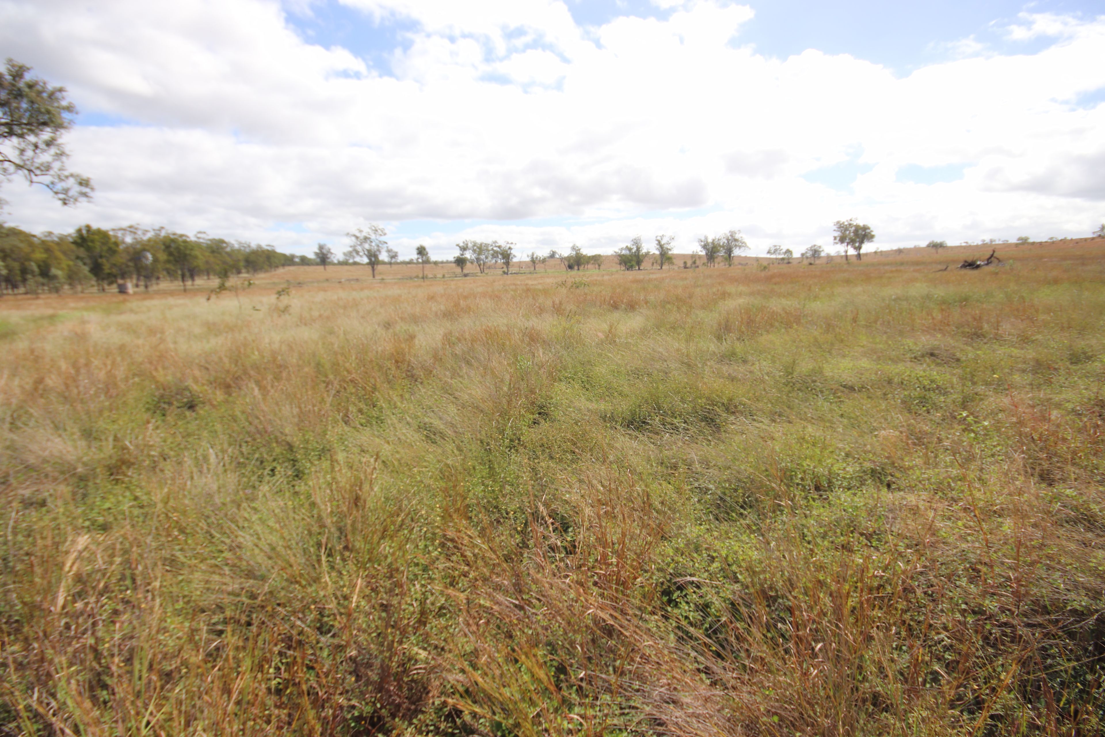 Lot 33 Eidsvold Theodore Road, Eidsvold, QLD 4627 Rural Property for