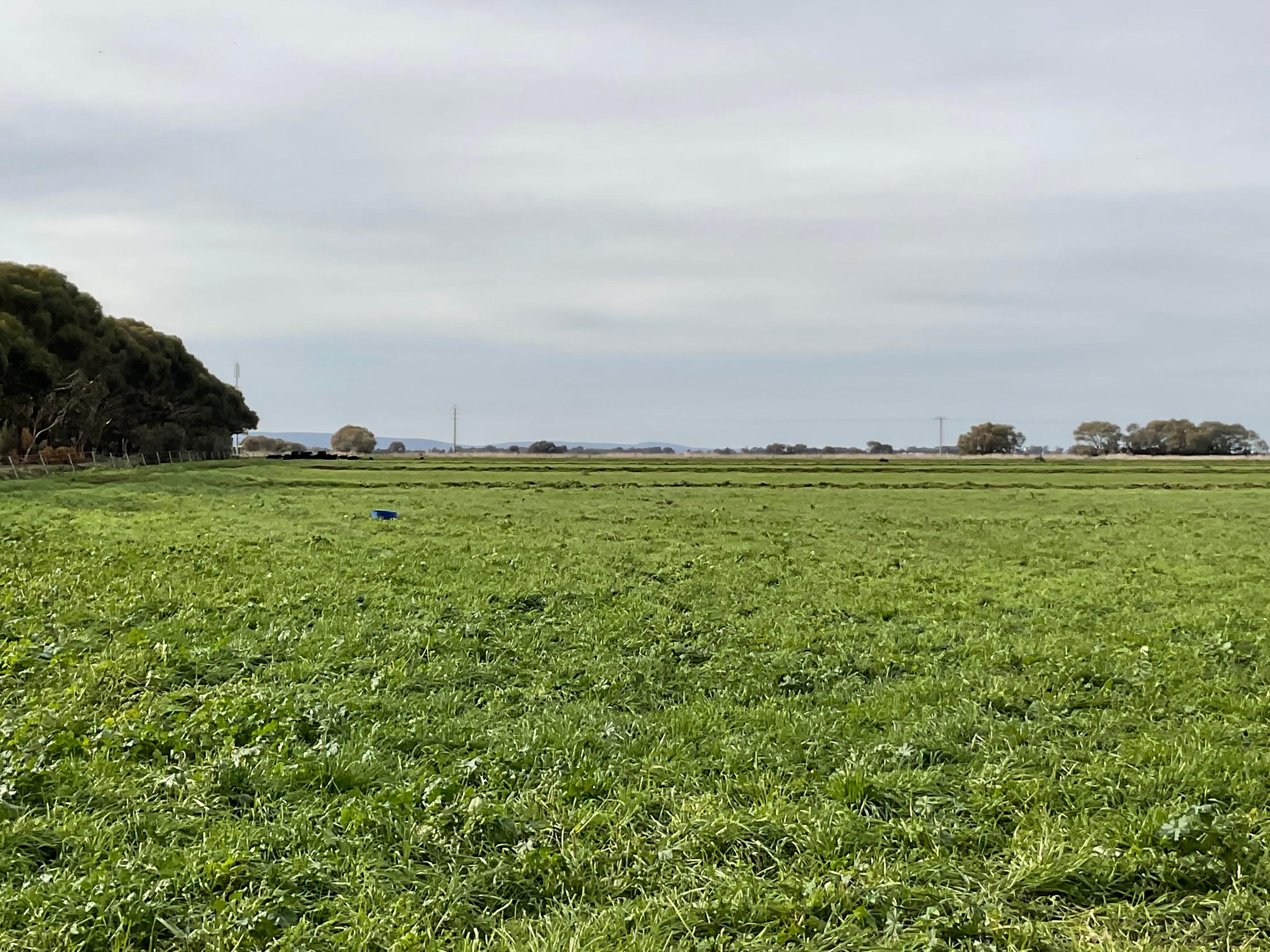 Part Farm 1428 Glenn Road, Murrami, NSW 2705