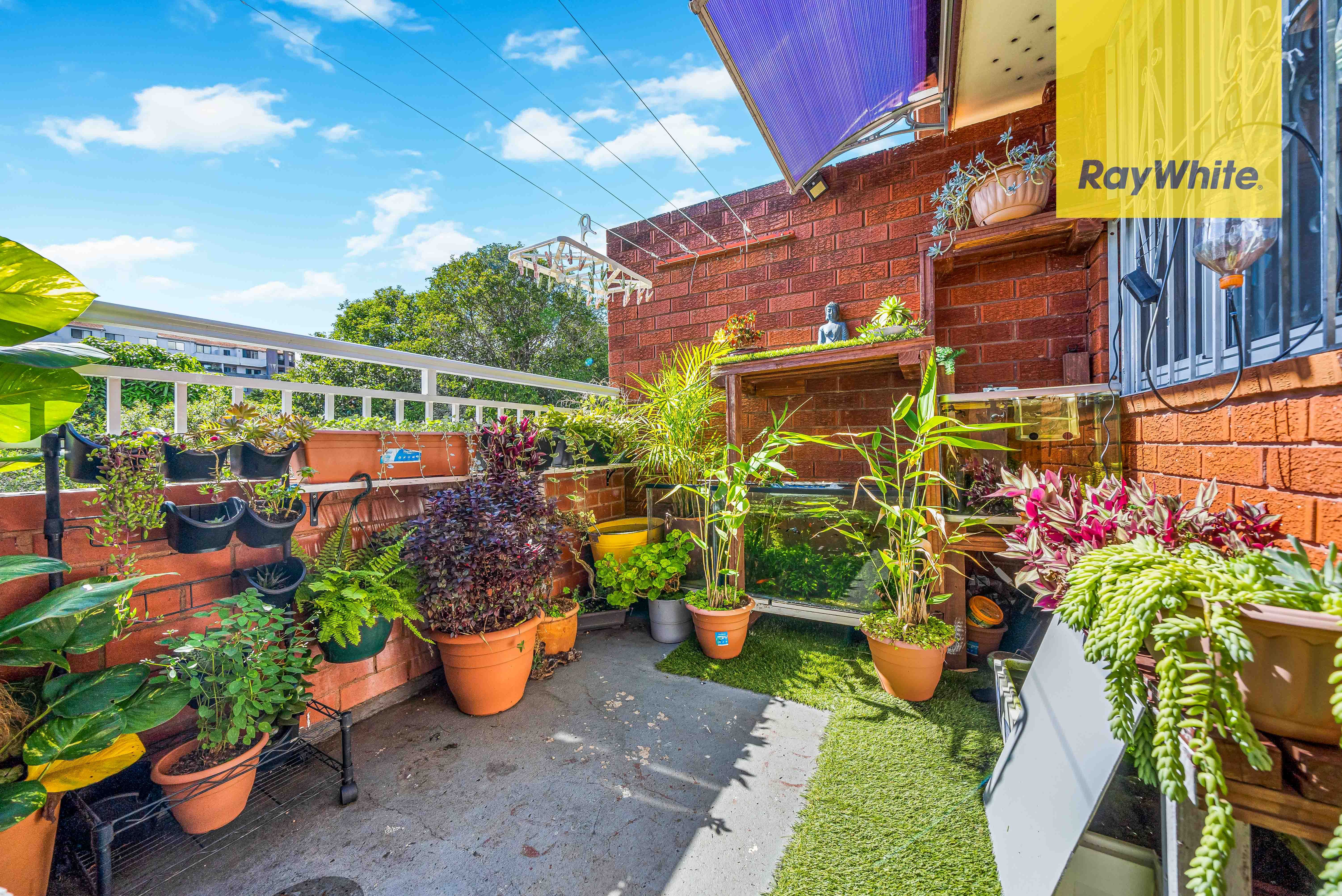 19 SHADFORTH Street, Wiley Park NSW 2195
