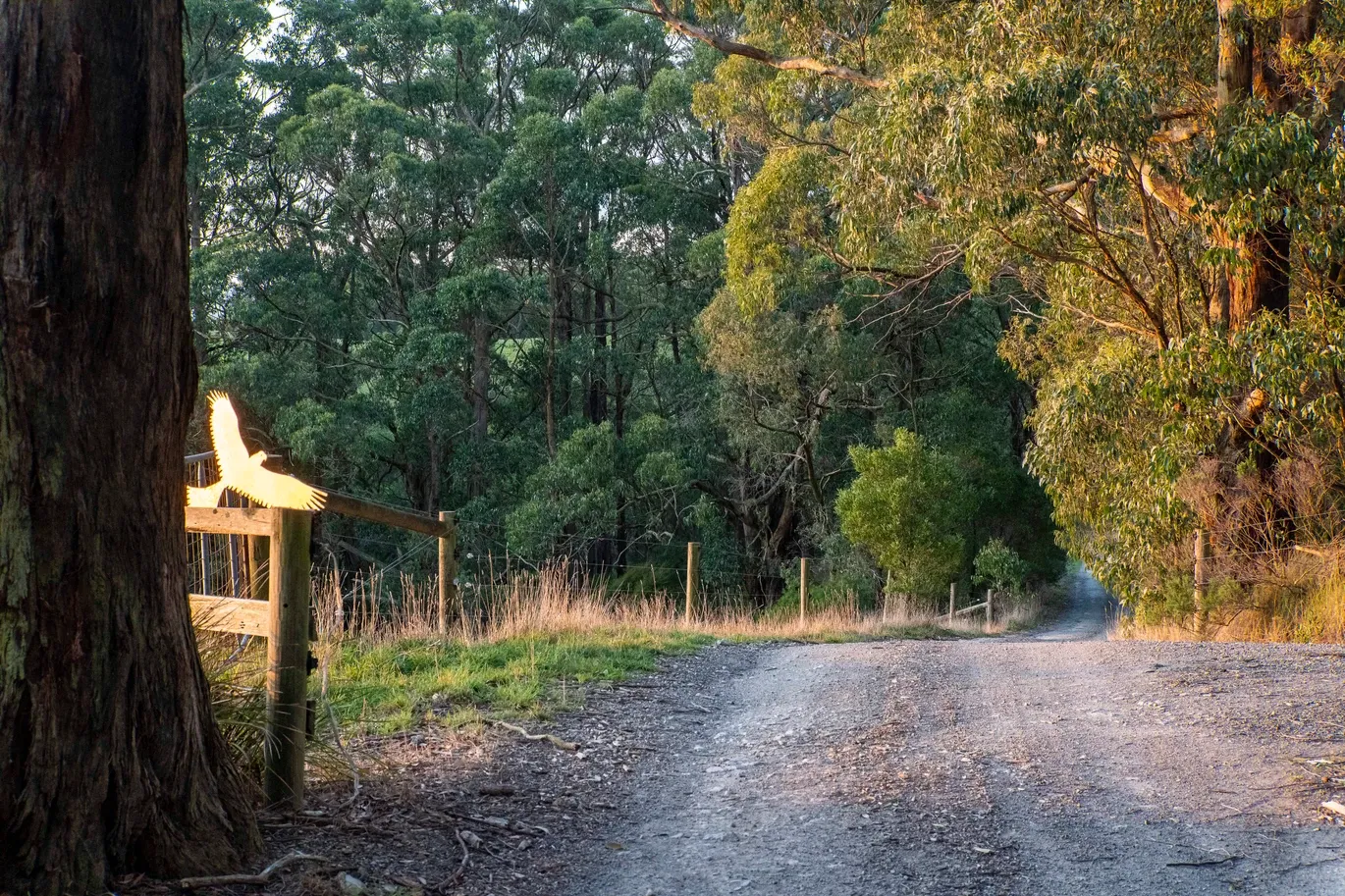 2160 Meeniyan -Promontory Road, Fish Creek, VIC 3959