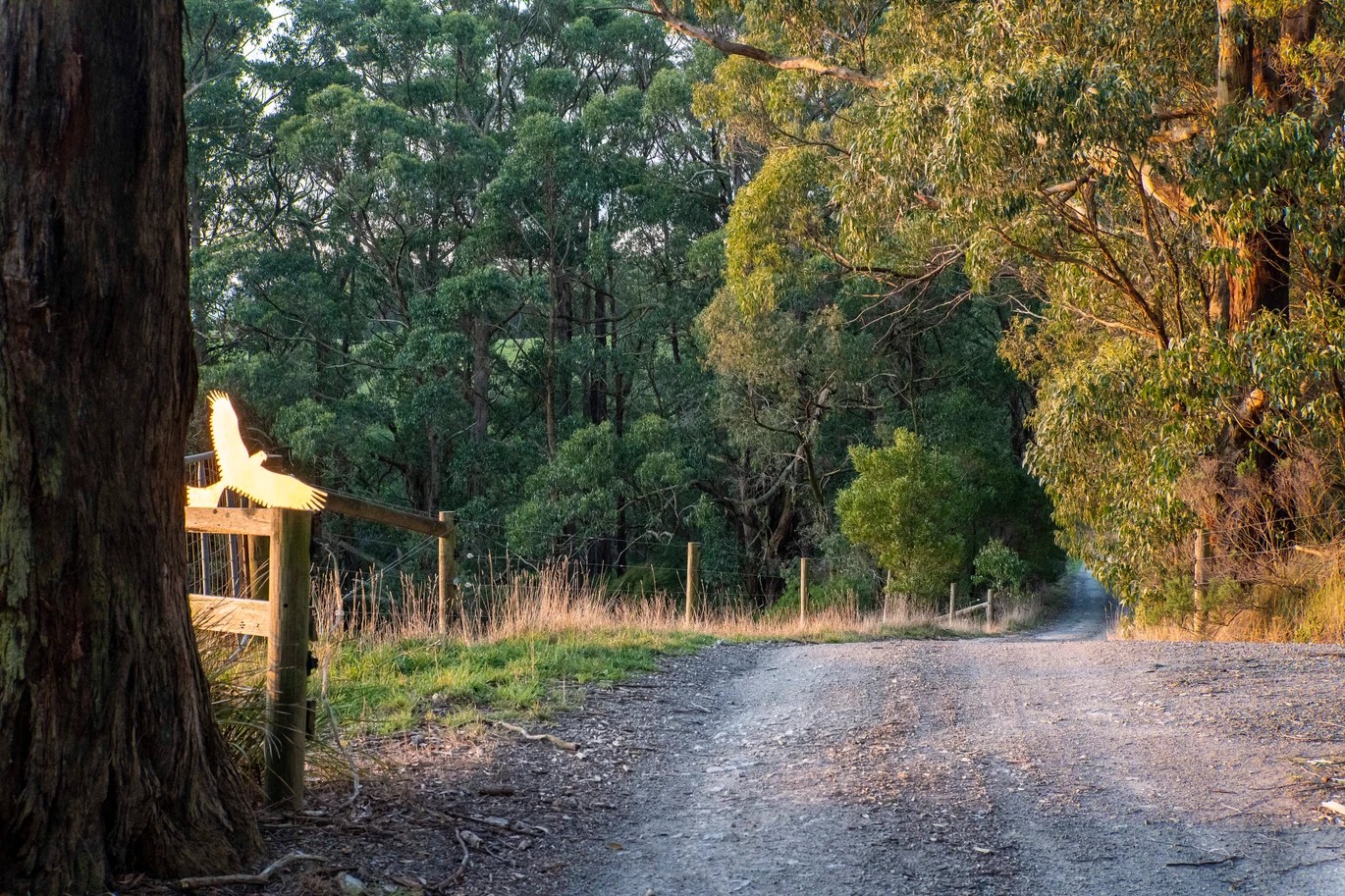 2160 Meeniyan -Promontory Road, Fish Creek, VIC 3959