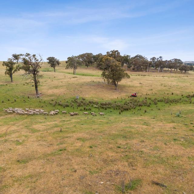 Springrange