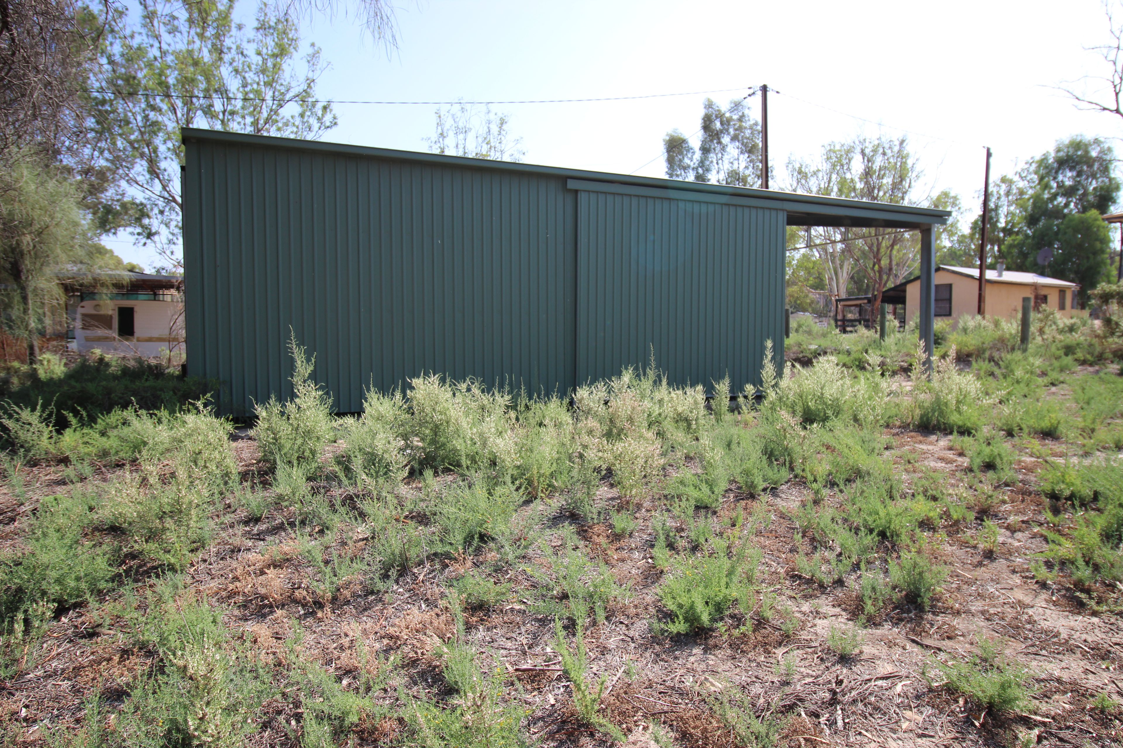 42 Echidna Drive, Morgan, SA 5320
