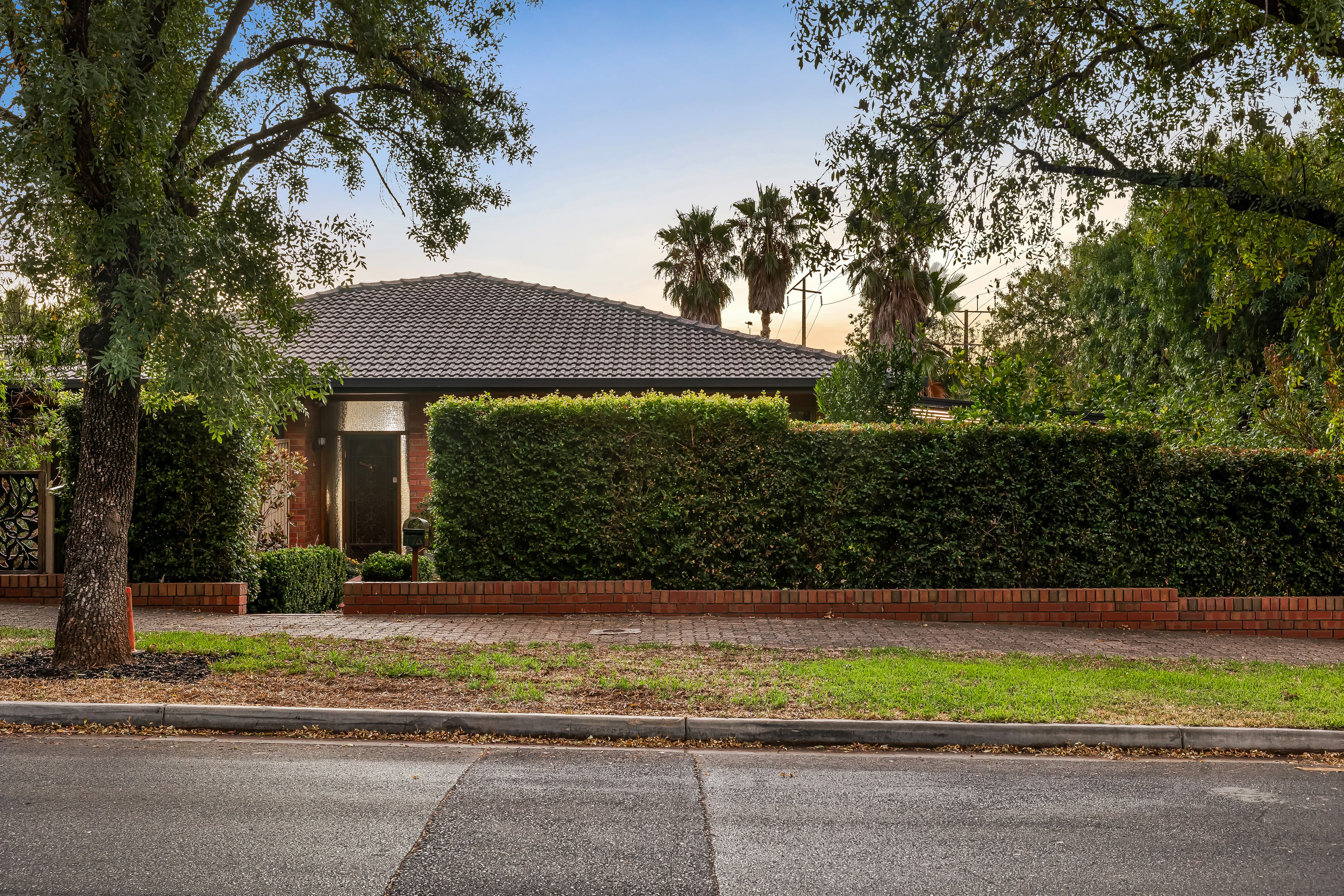 17A Brigalow Avenue, Kensington Gardens, SA 5068