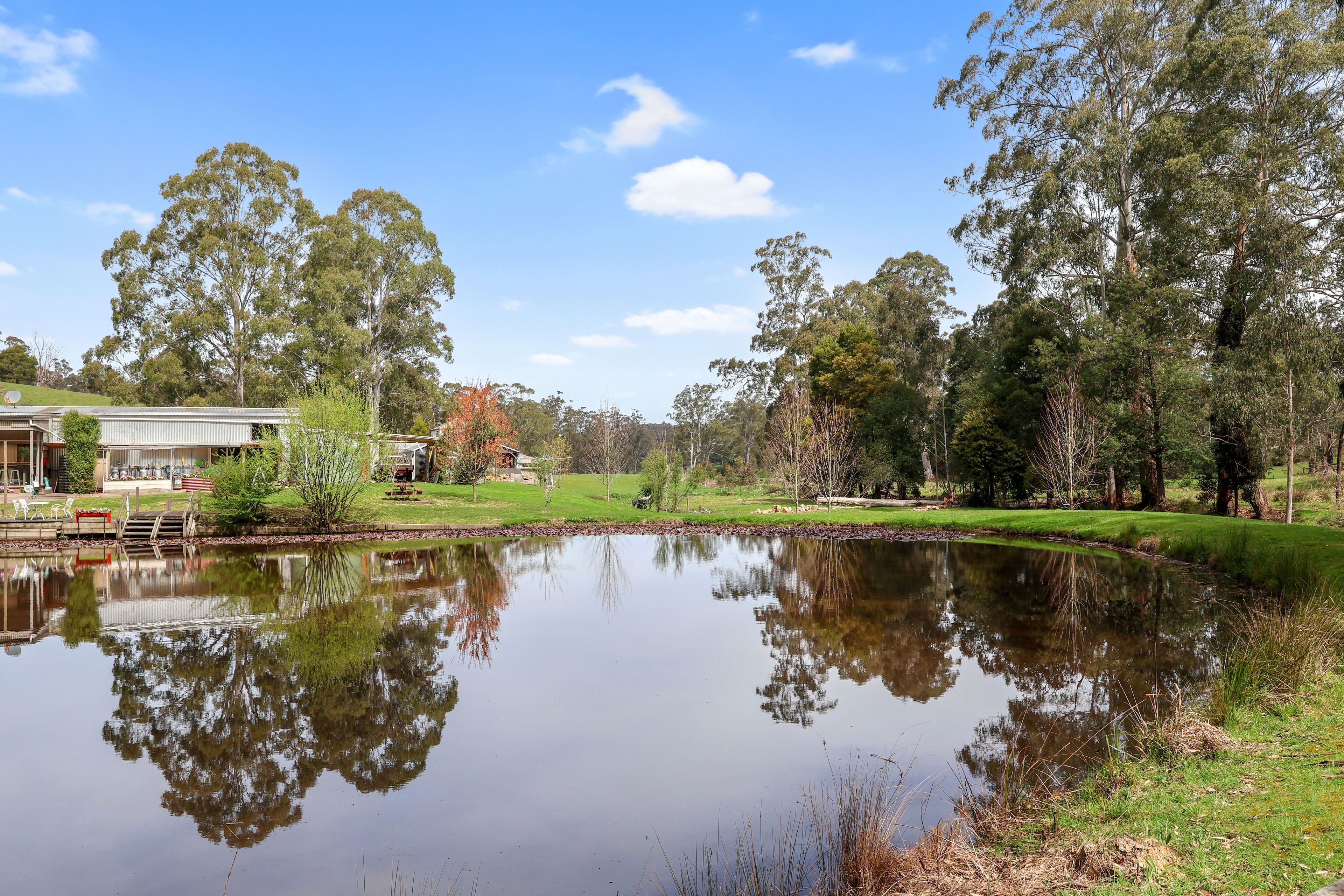 155 Beards Track, Shady Creek VIC 3821