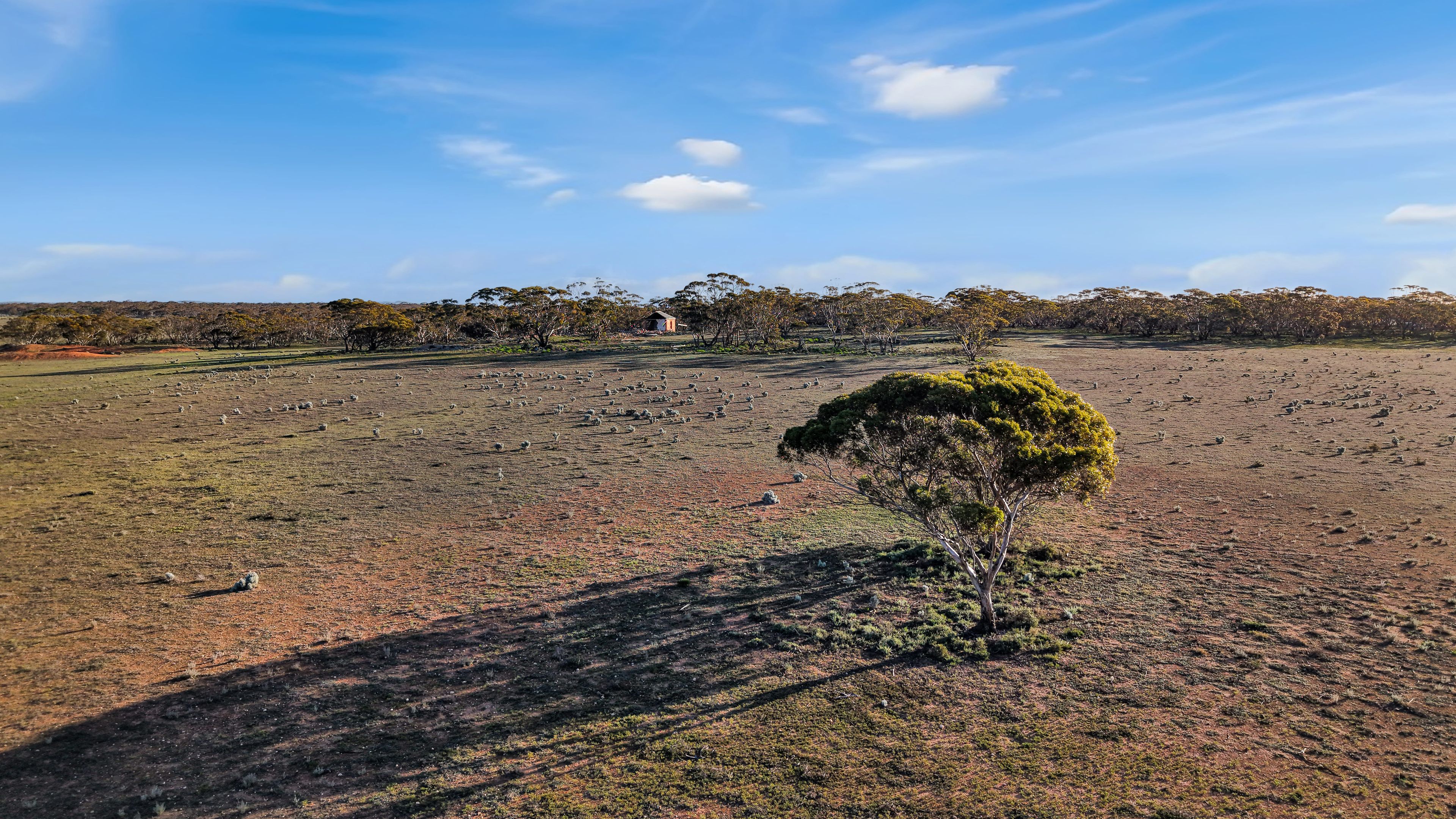 Lot 53 Mallee Road — photo 7 of 23