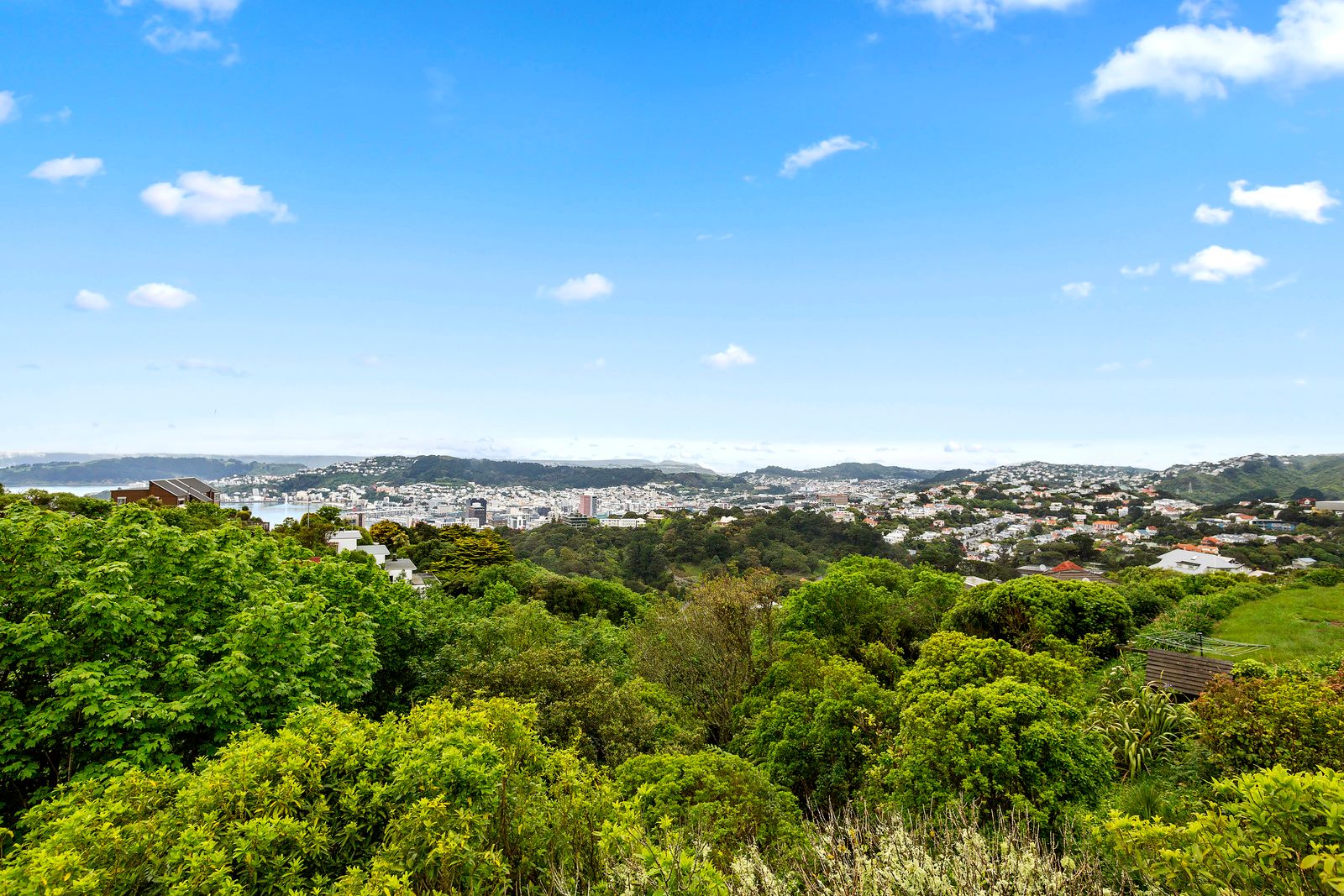 2 Puketiro Avenue, Northland, Wellington City