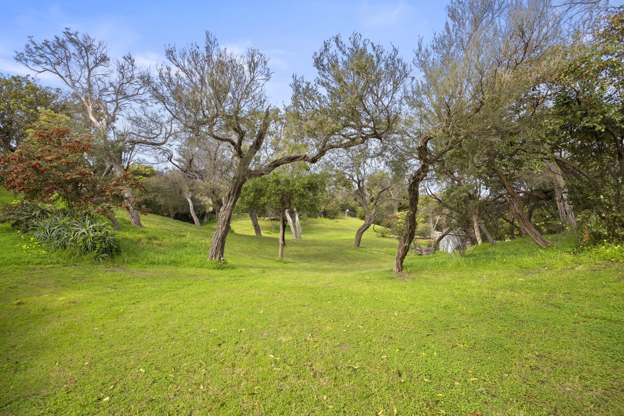 8 Kanimbla Court — photo 11 of 17