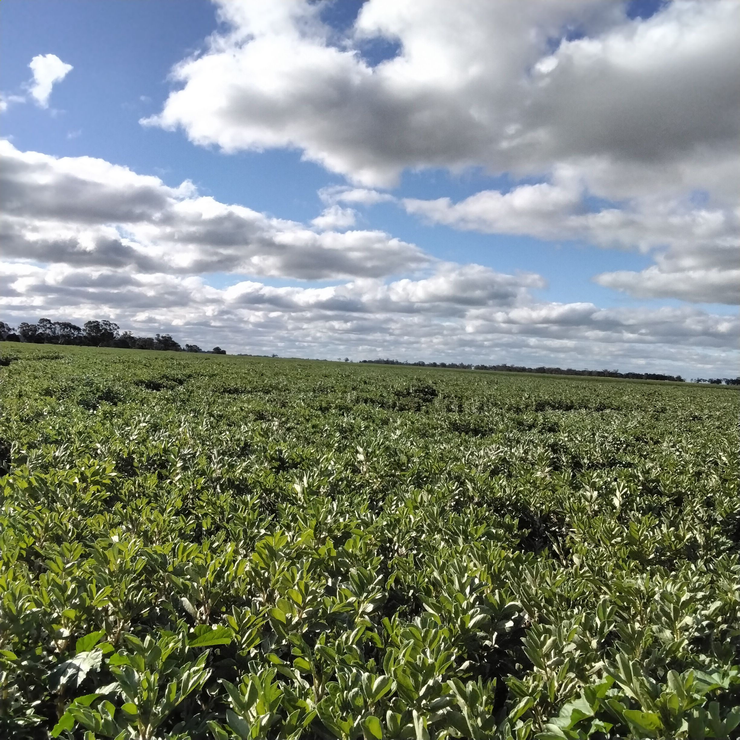 LOT 220A & 220B Tinsley Road — photo 13 of 14
