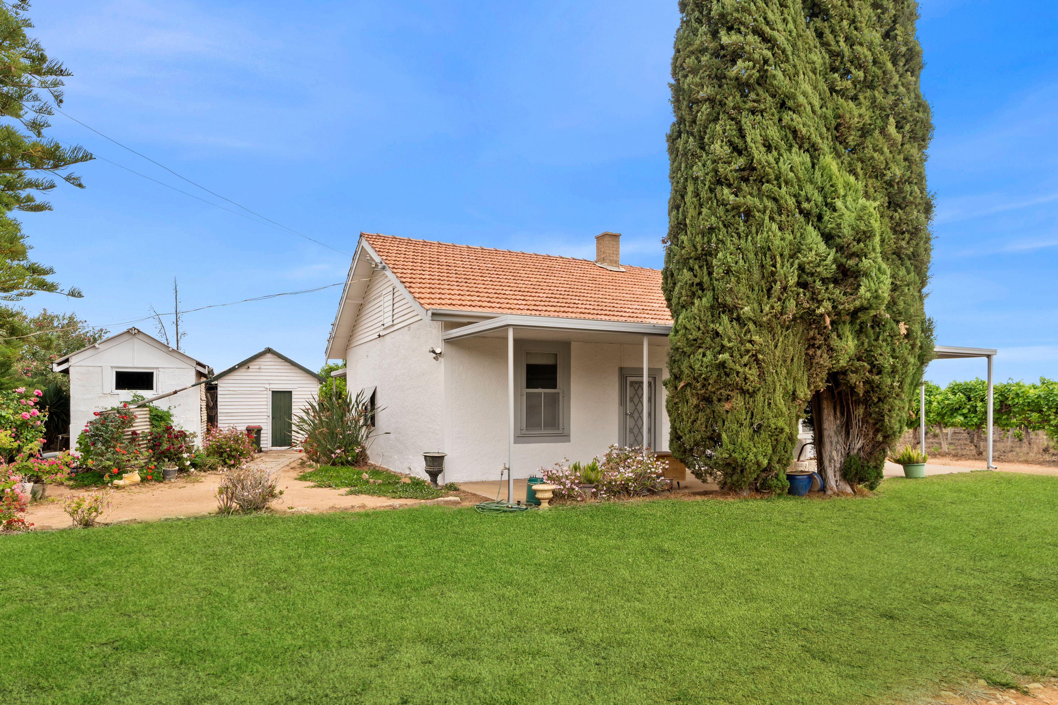 17574 Sturt Highway — photo from Ray White Riverland