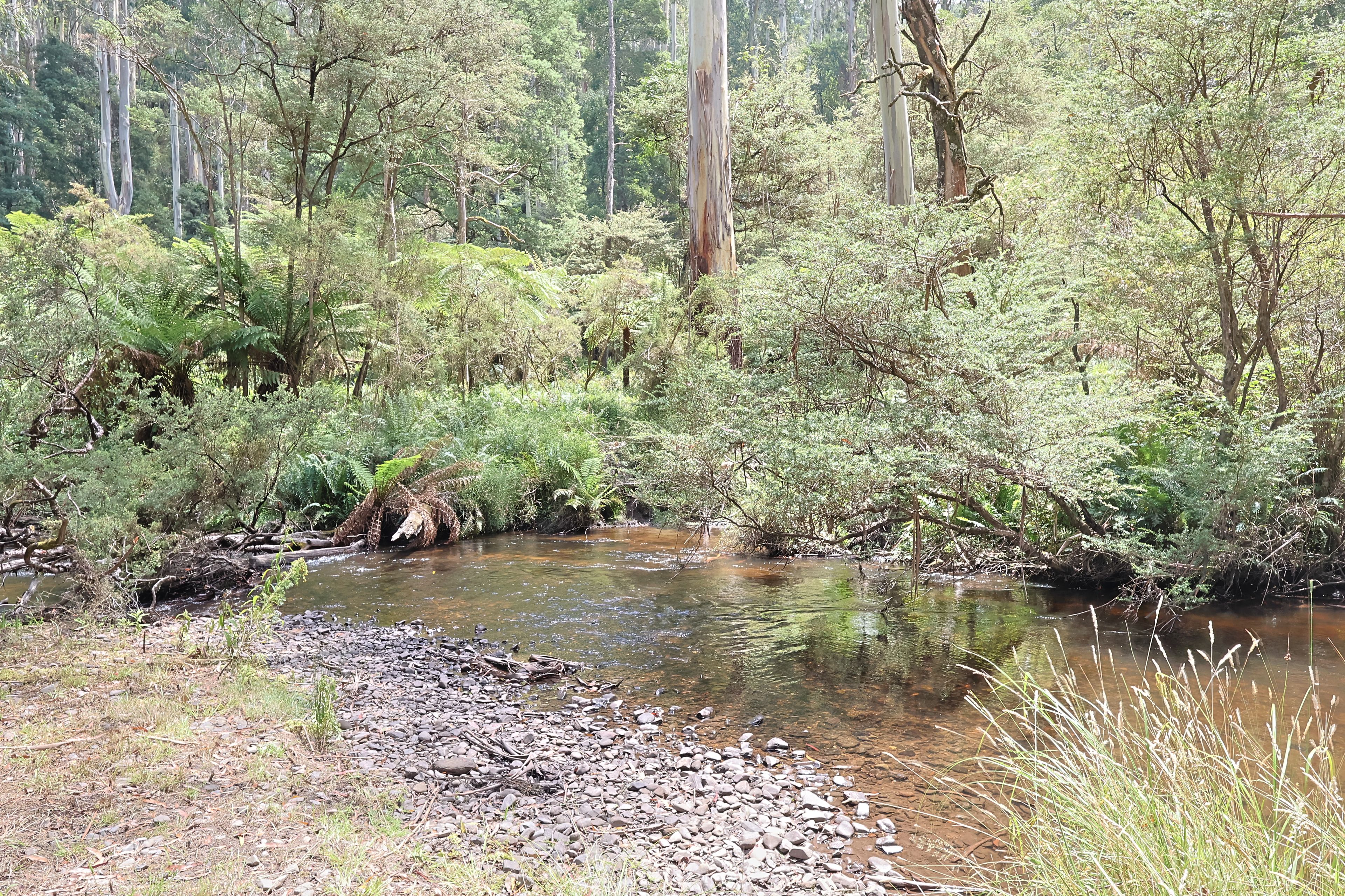 Lot 38 Toorongo Valley Road, Noojee, VIC 3833