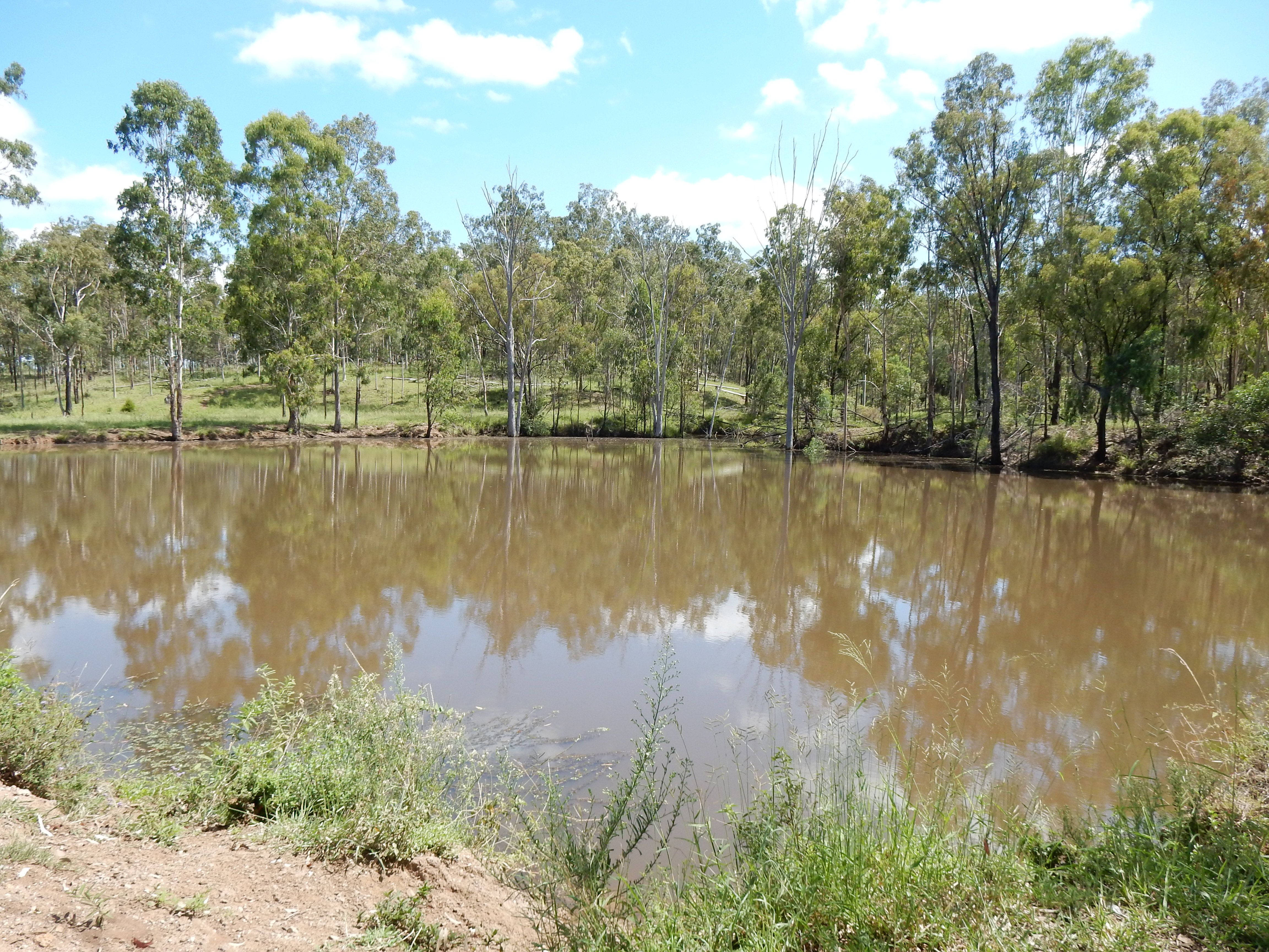 95 Monto Mount Perry Road, Tellebang, QLD 4630 Rural Property for Sale Ray White Biloela