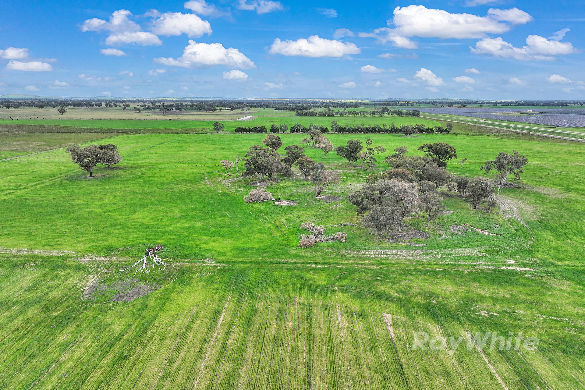 _ Morrissey Road, Girgarre, VIC 3624 Rural Cropping Property for Sale