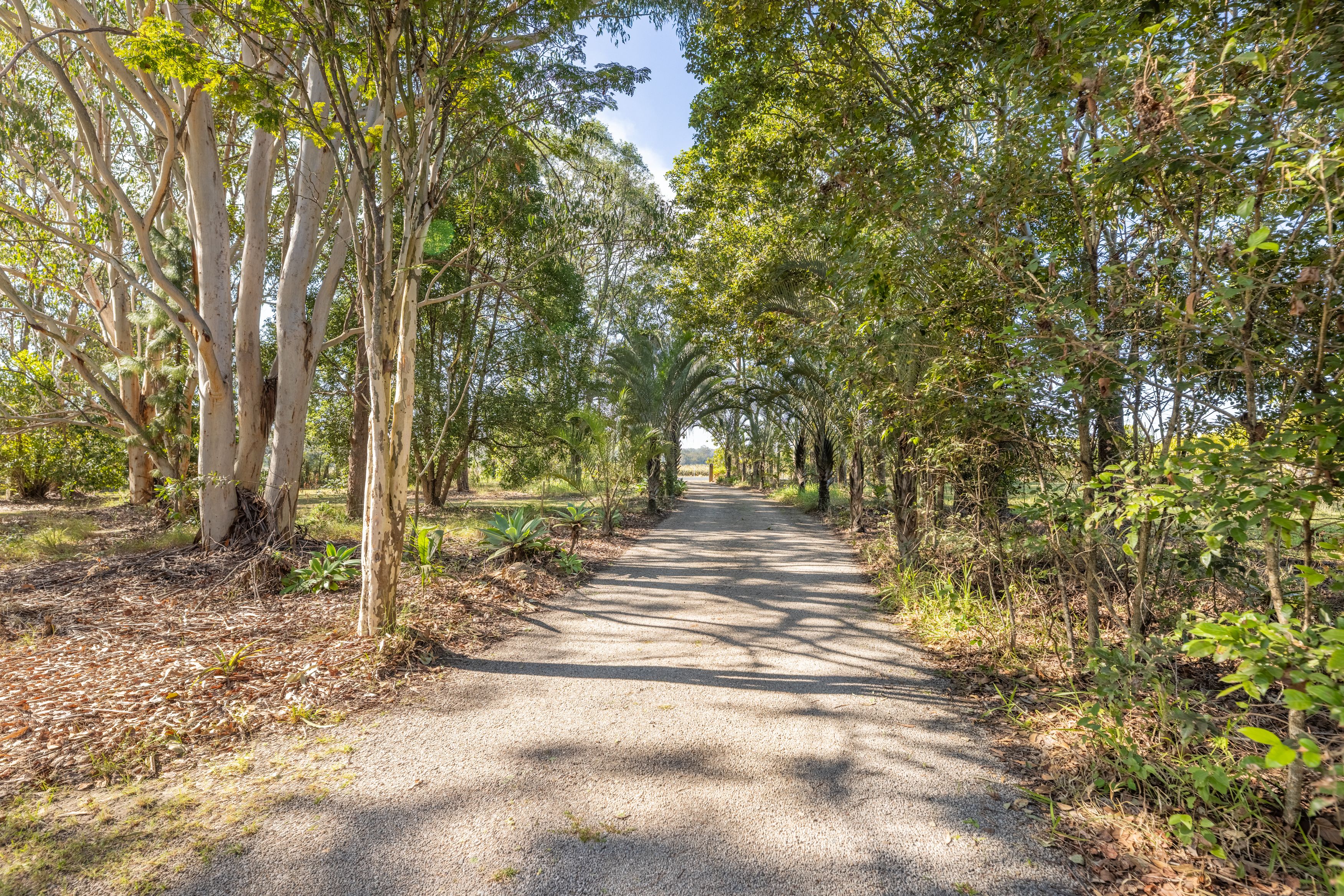 279 Newlands Road, Wamuran, QLD 4512