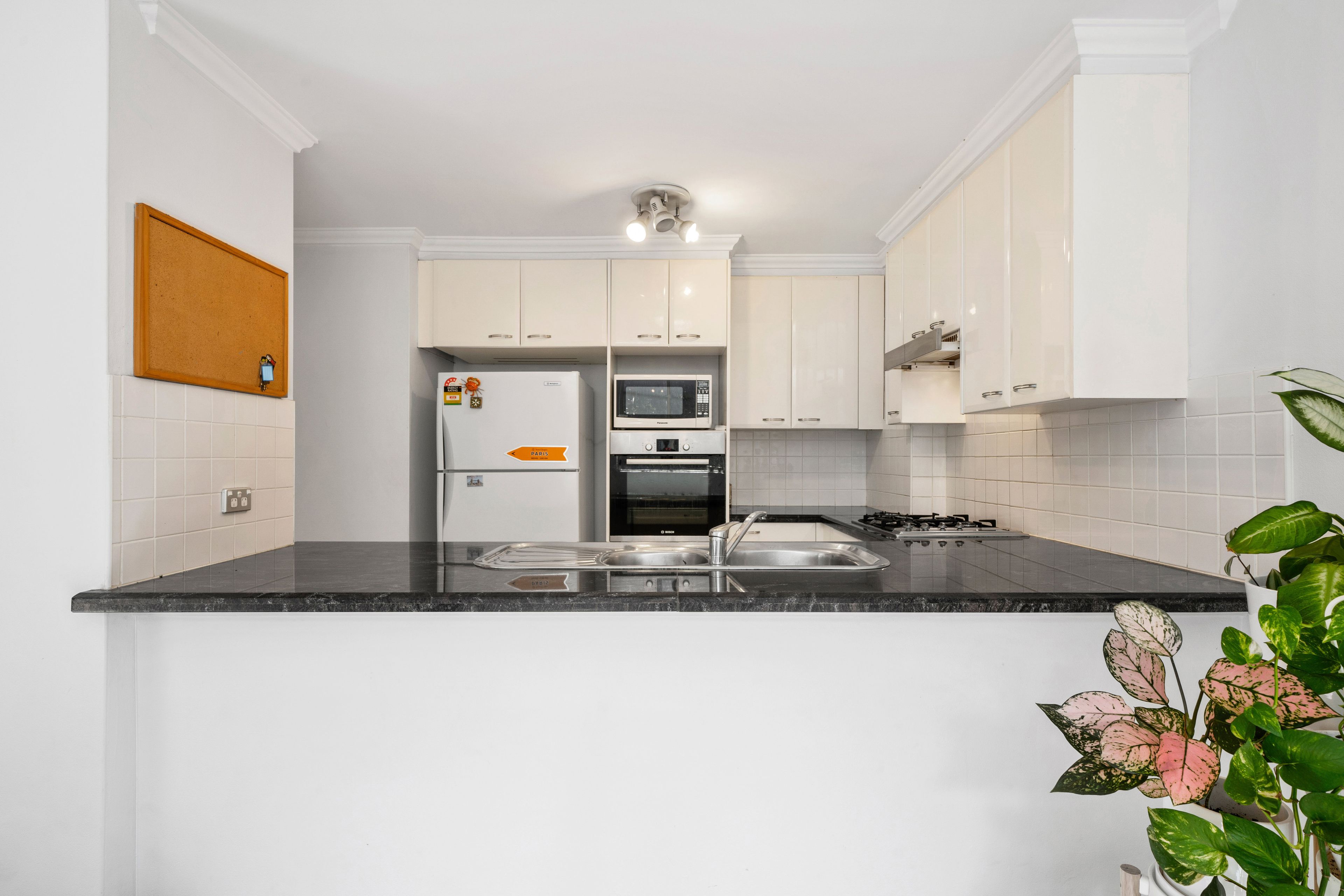 110/85 Reynolds Street, Balmain, NSW 2041