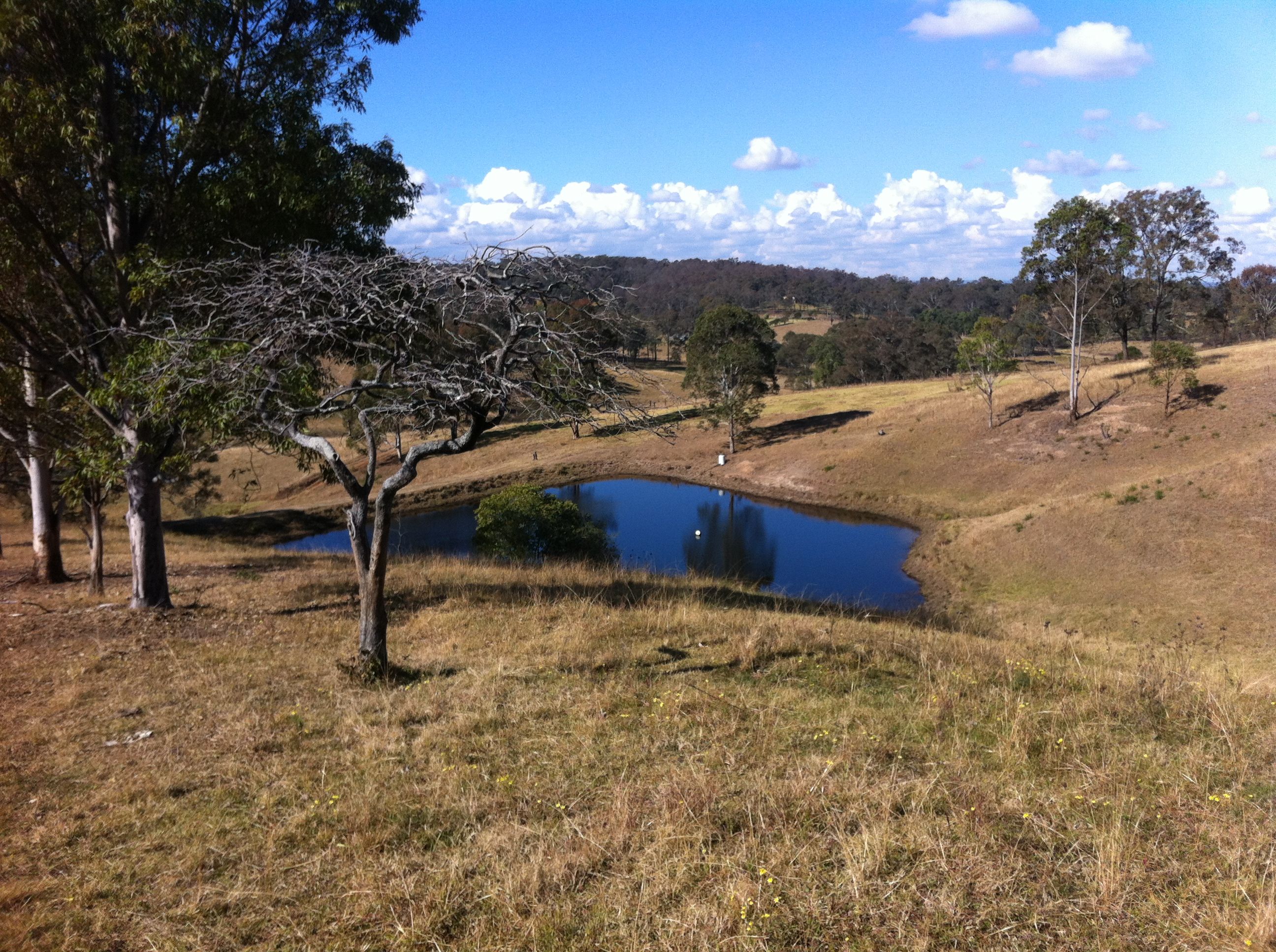 138 Crooked Lane, North Richmond, NSW 2754