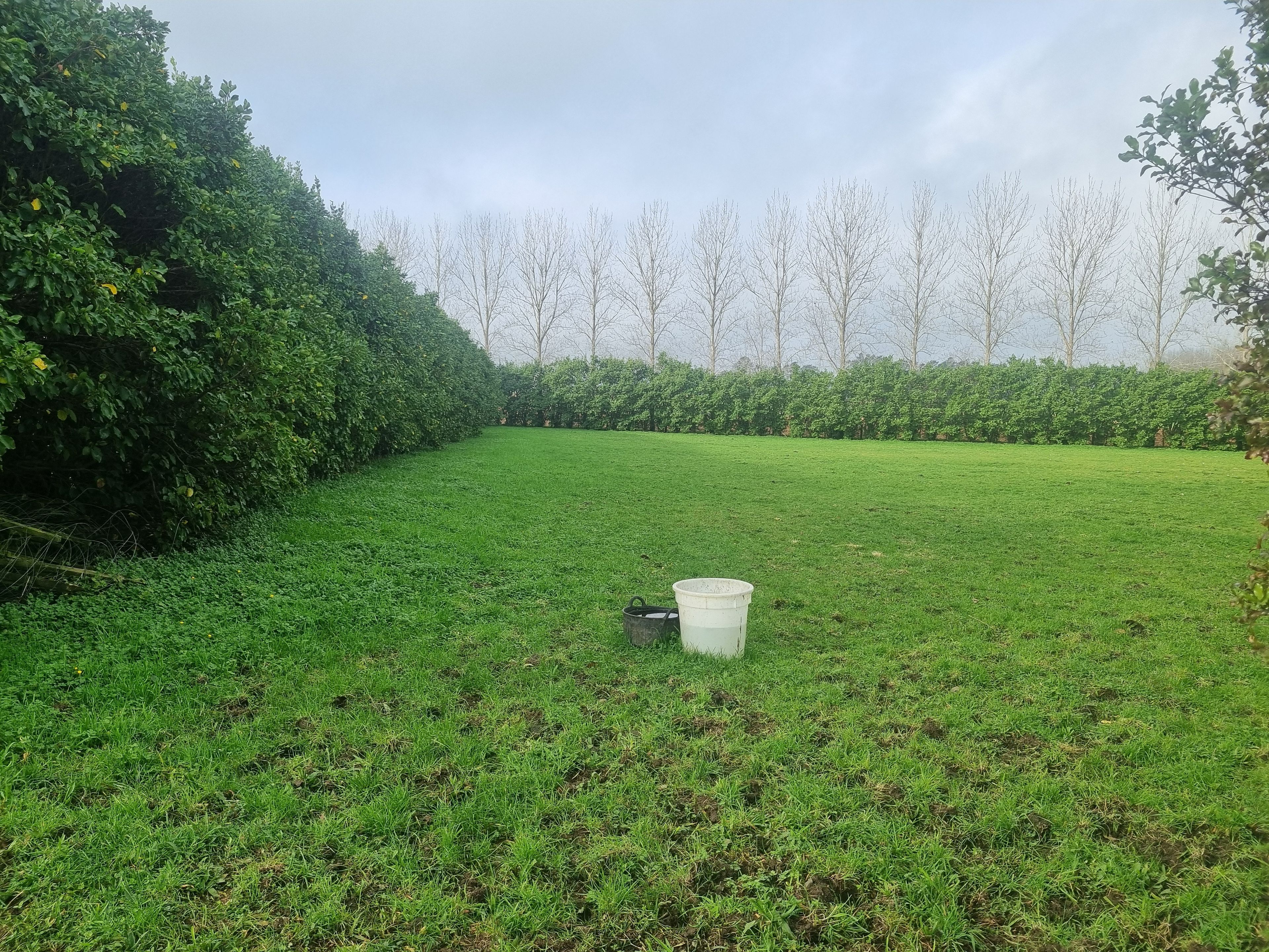 Lot2/0 Waiare Road, Okaihau, Far North District