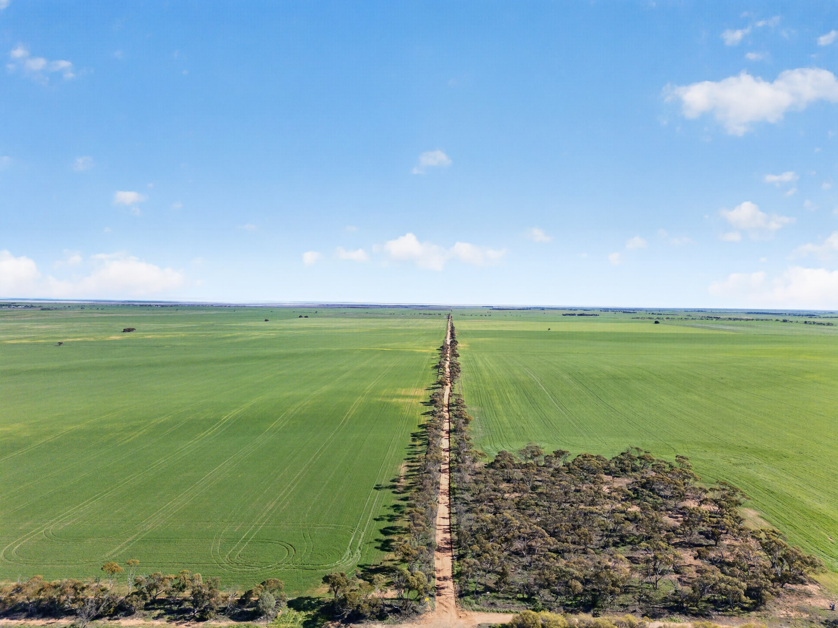 'Clifford Farm' Spencer Highway, Clements Gap, SA 5523