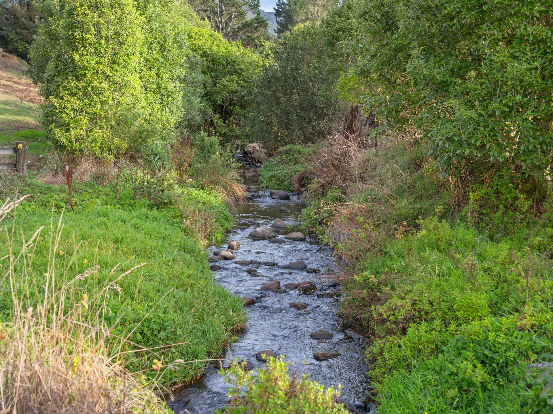163 Arthur Road photo 29